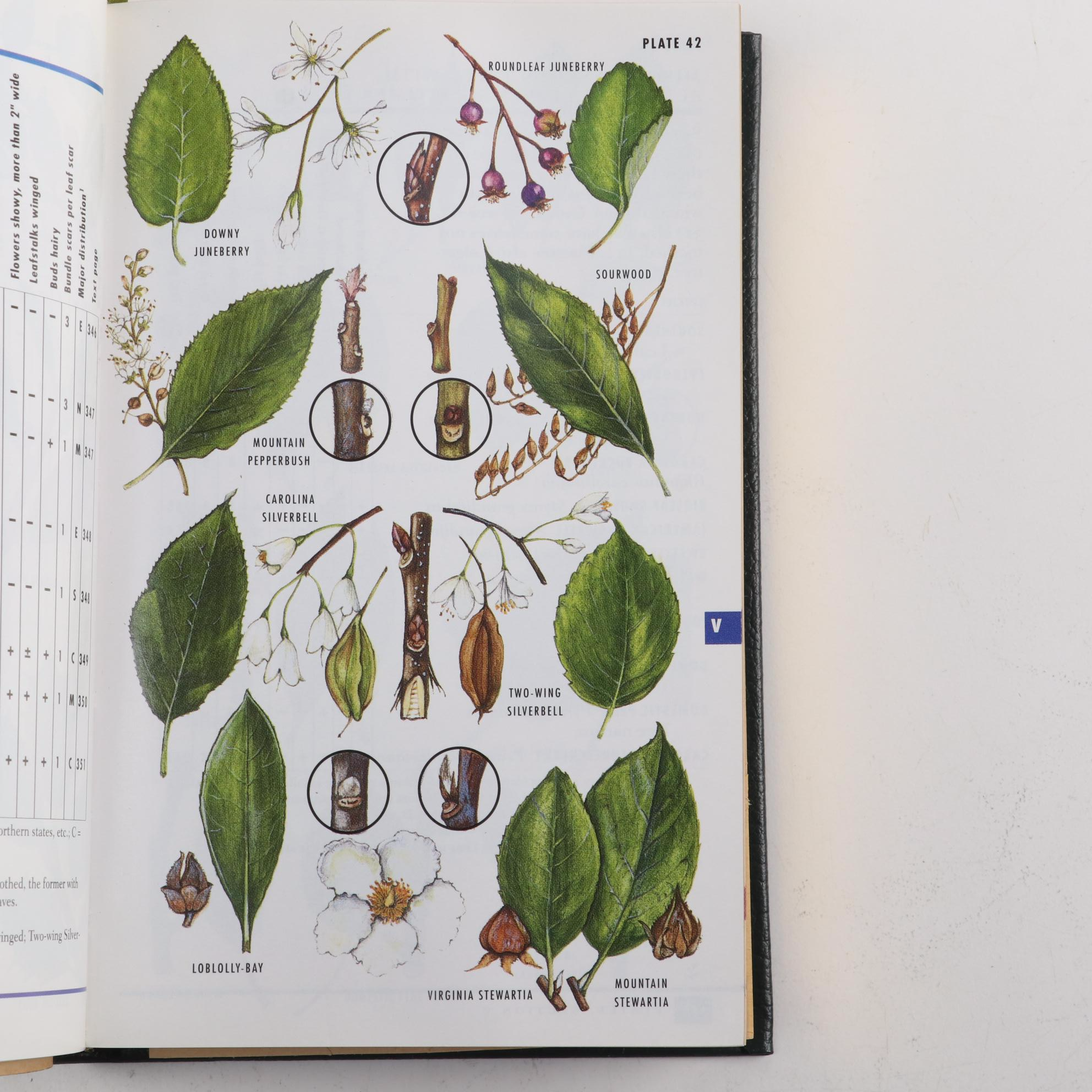 Easton Press Roger Tory Peterson Field Guides Including "Advanced Birding"