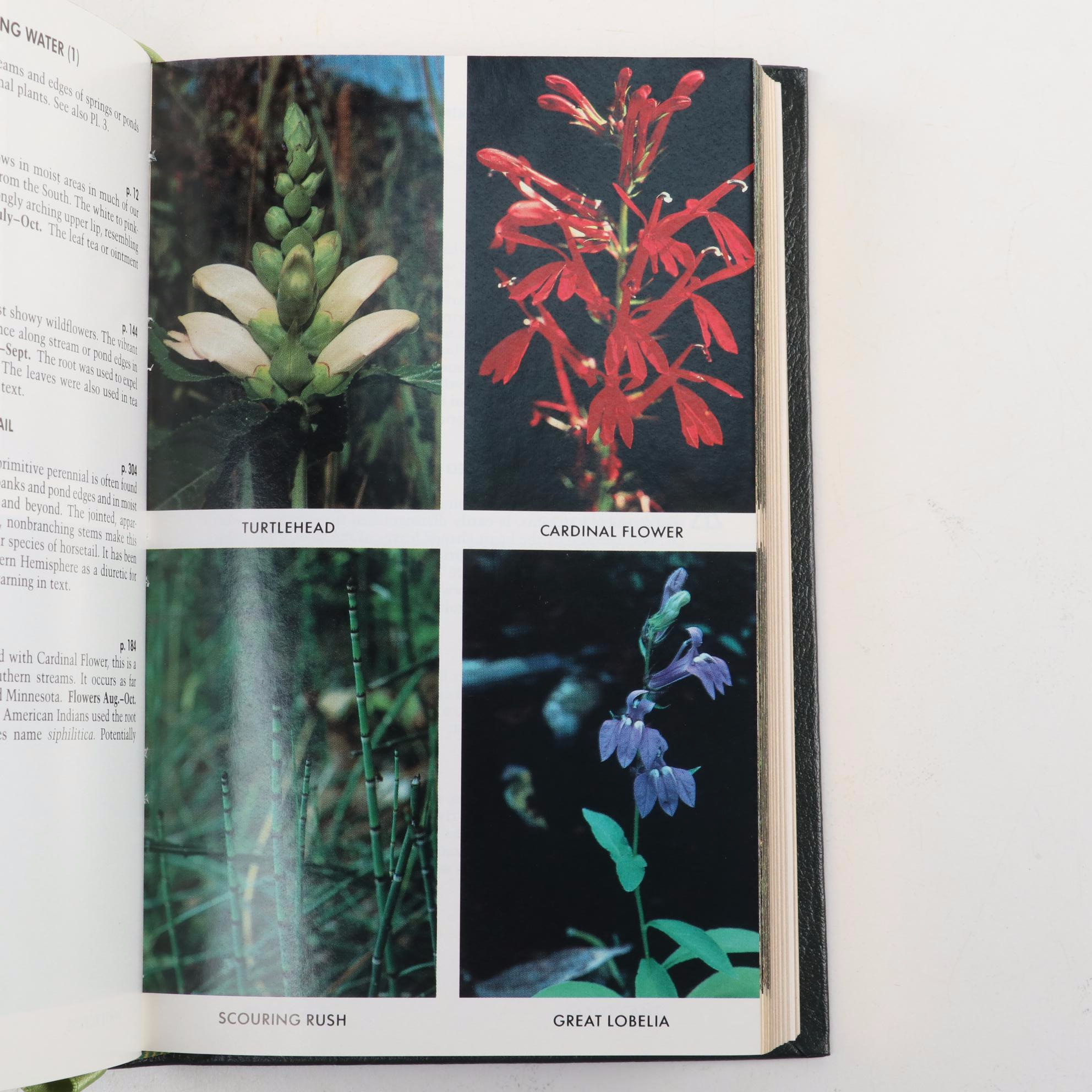 Easton Press Roger Tory Peterson Field Guides Including "Advanced Birding"