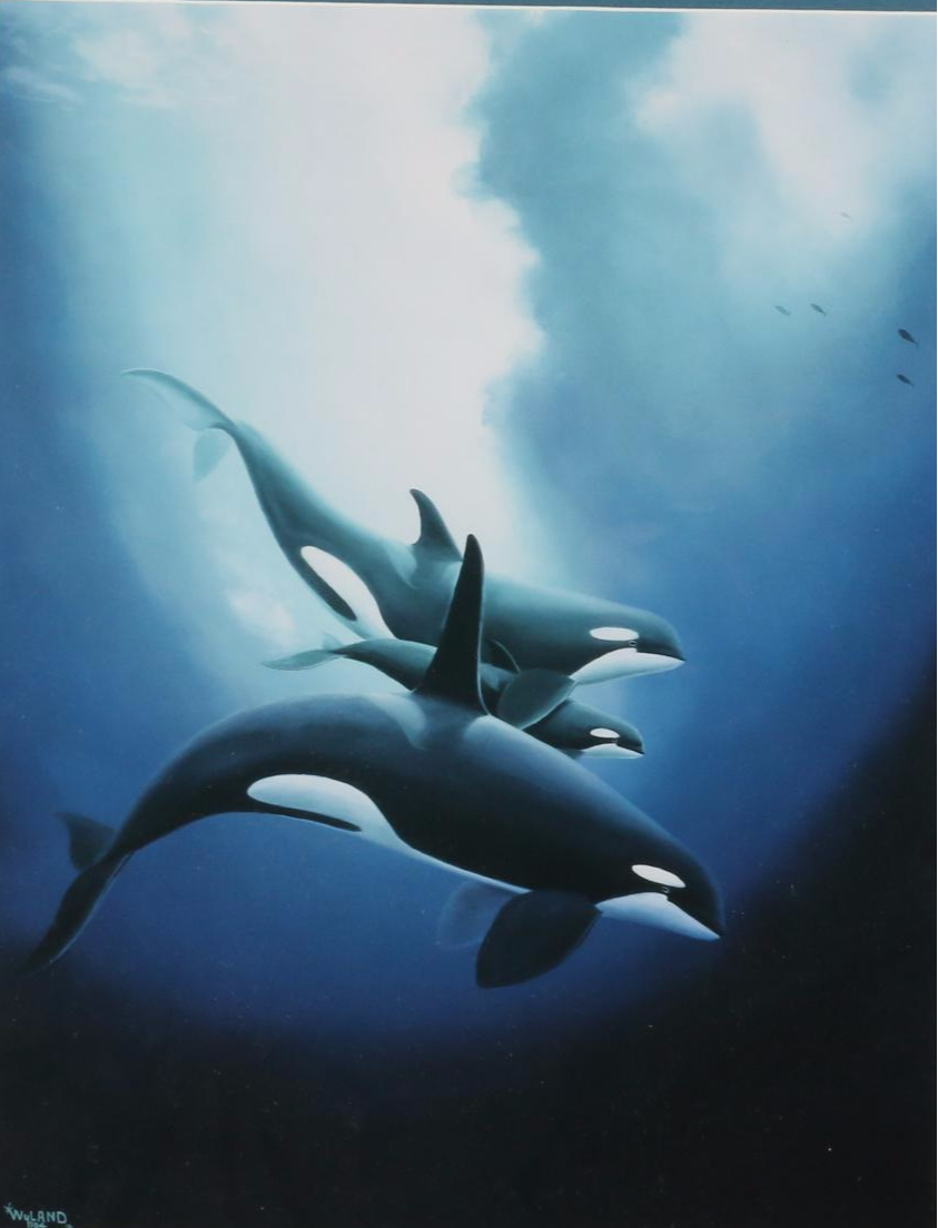 Giclée after Robert Wyland "Orca Trio," circa 2000