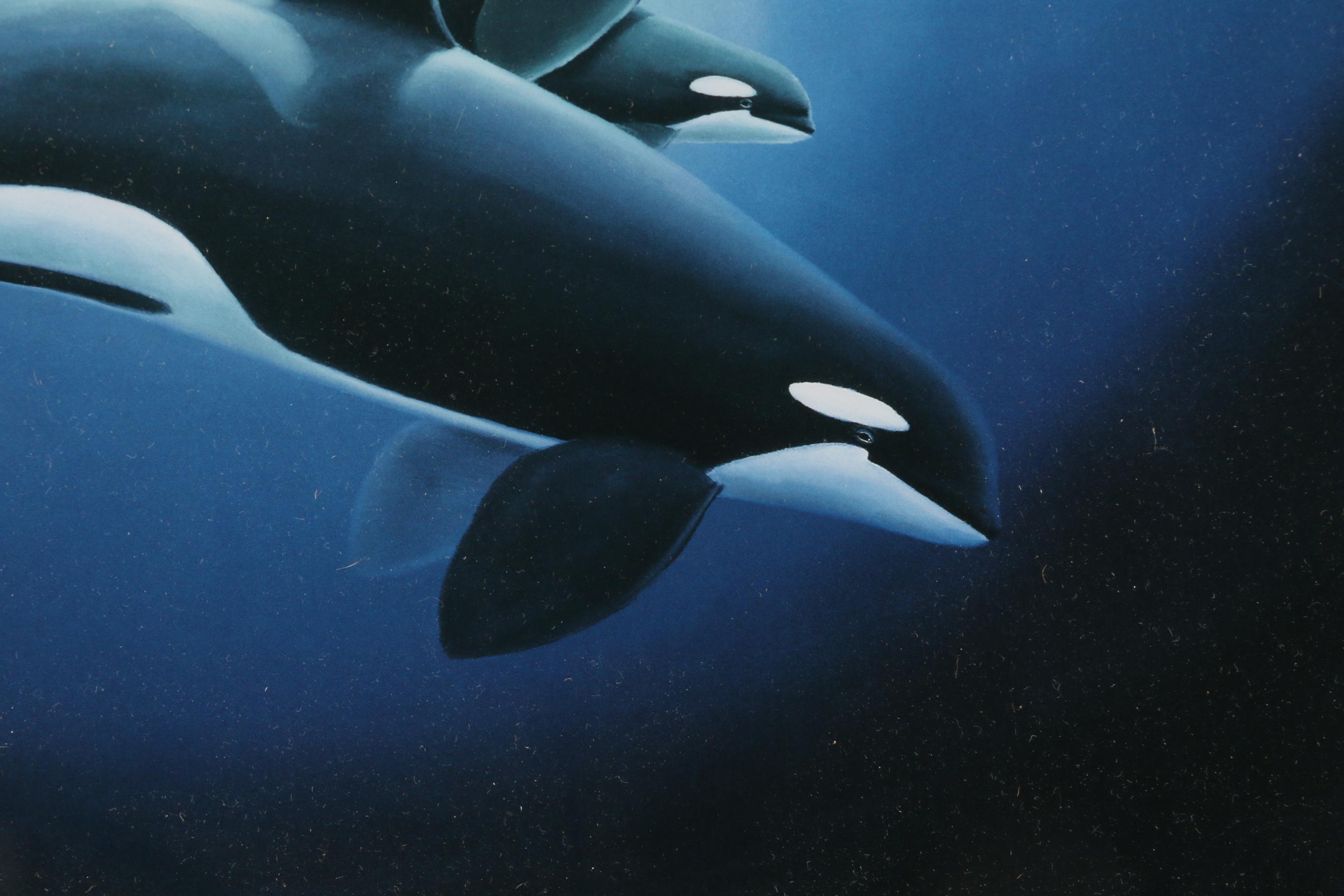 Giclée after Robert Wyland "Orca Trio," circa 2000