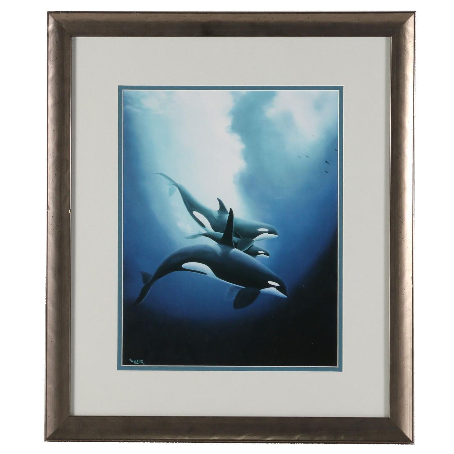 Giclée after Robert Wyland "Orca Trio," circa 2000