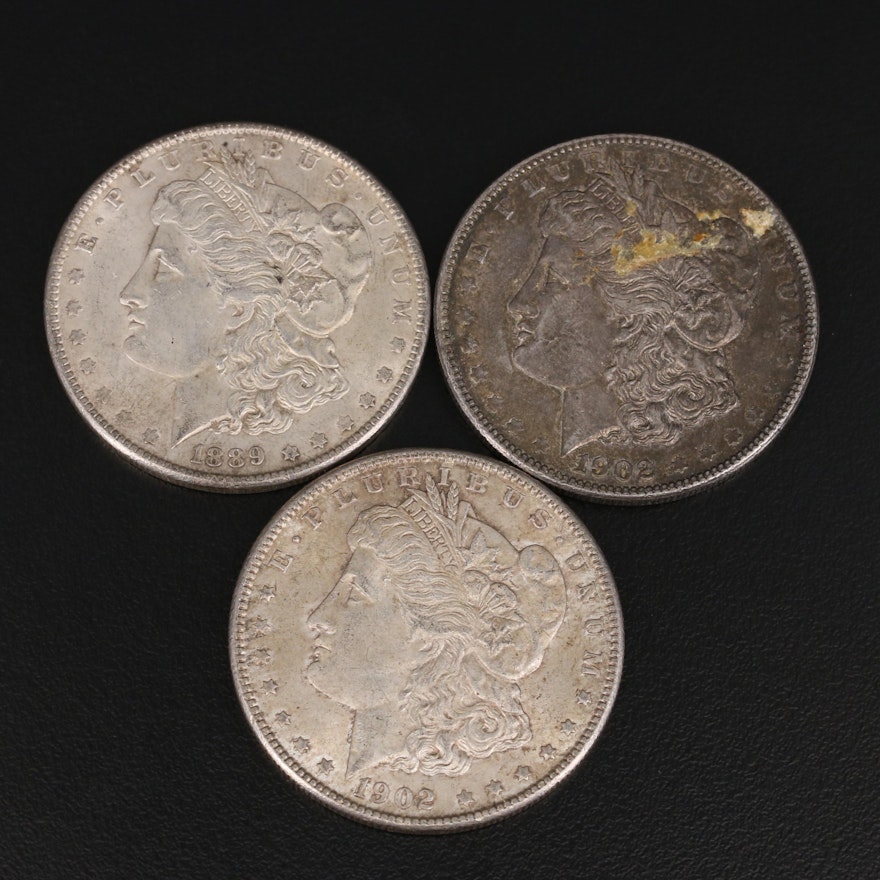 Three Morgan Silver Dollars