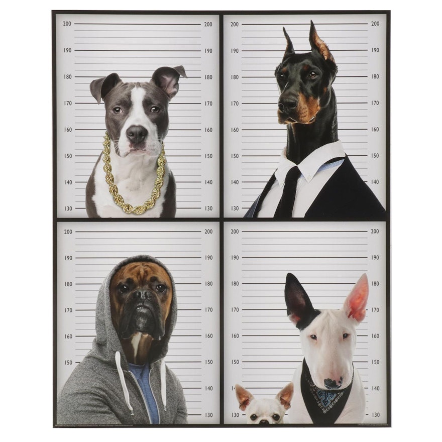 Offset Lithograph Poster "Most Wanted Dogs," 21st Century