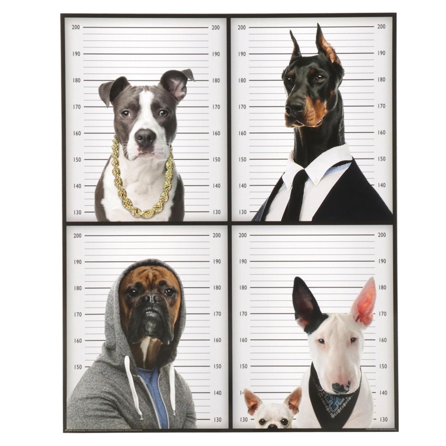 Offset Lithograph Poster "Most Wanted Dogs," 21st Century