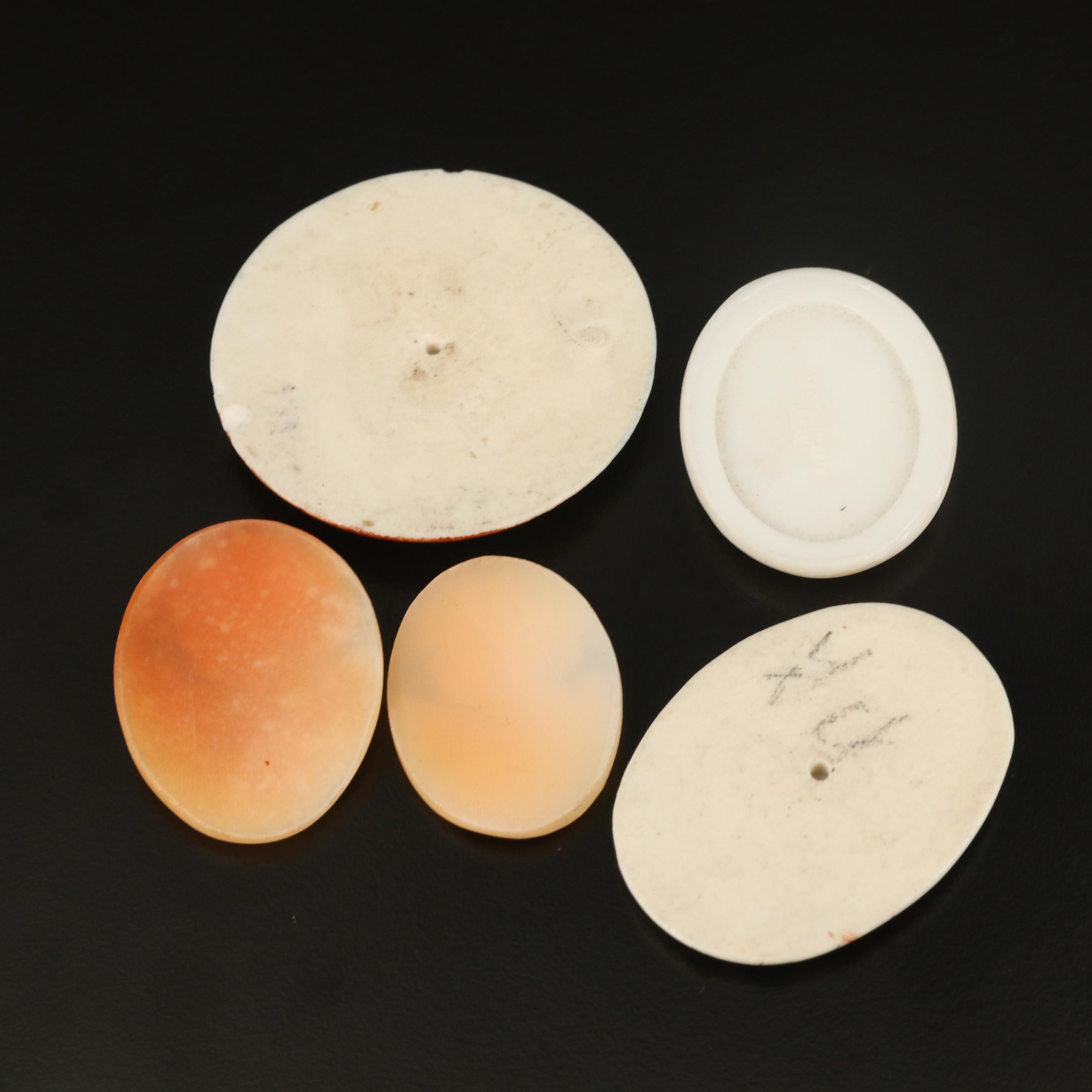 Loose Shell and Porcelain Scenic and Figural Cameos