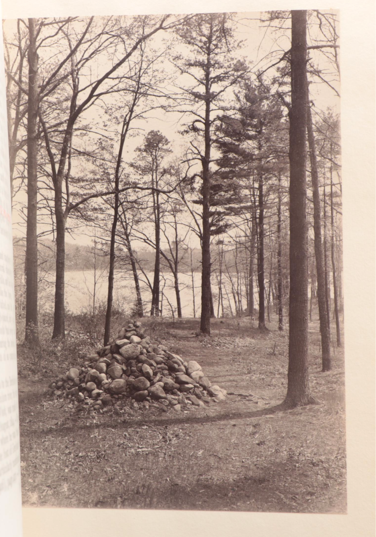 Limited Edition "Walden" Two-Volume Set by Henry David Thoreau, 1909