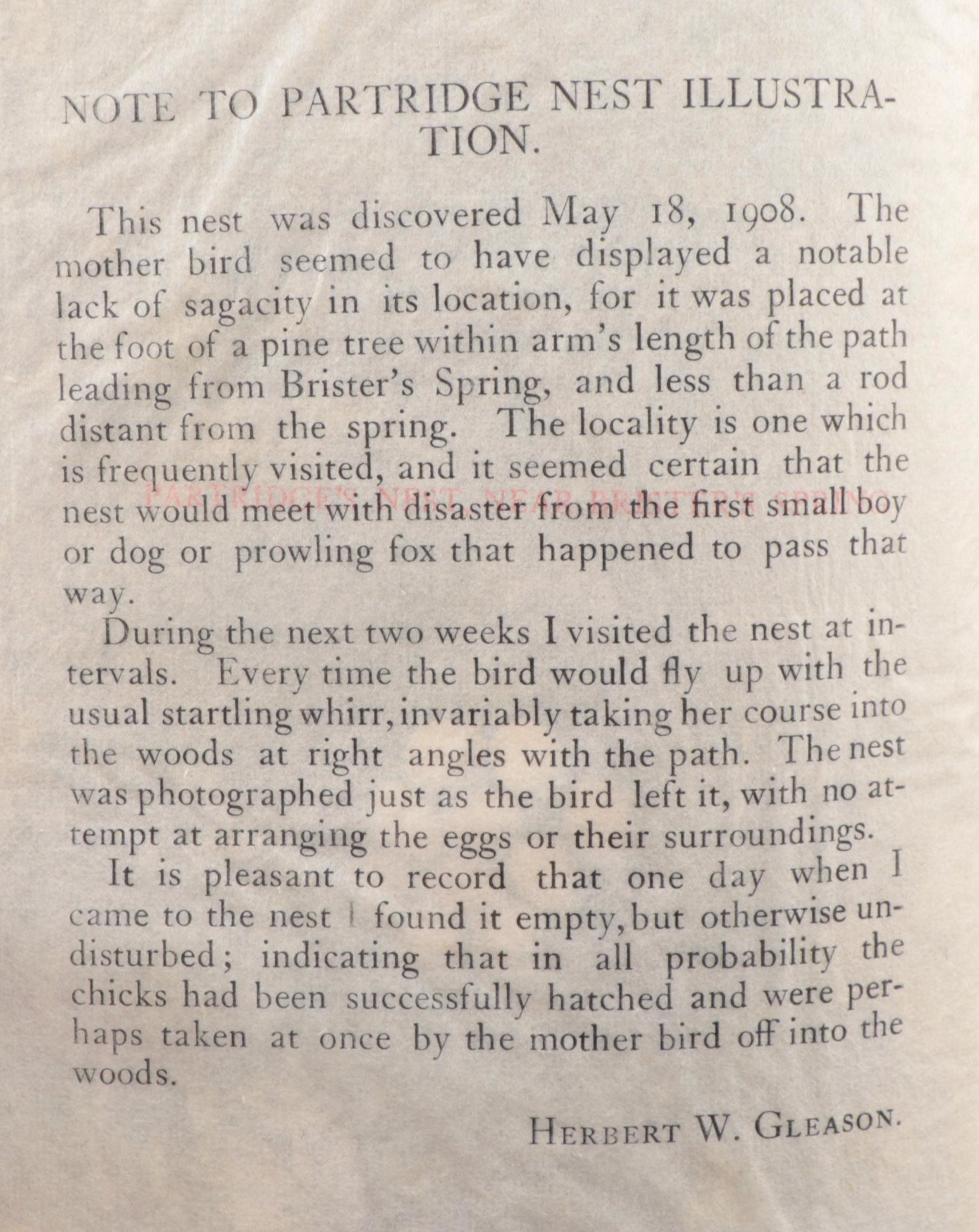 Limited Edition "Walden" Two-Volume Set by Henry David Thoreau, 1909