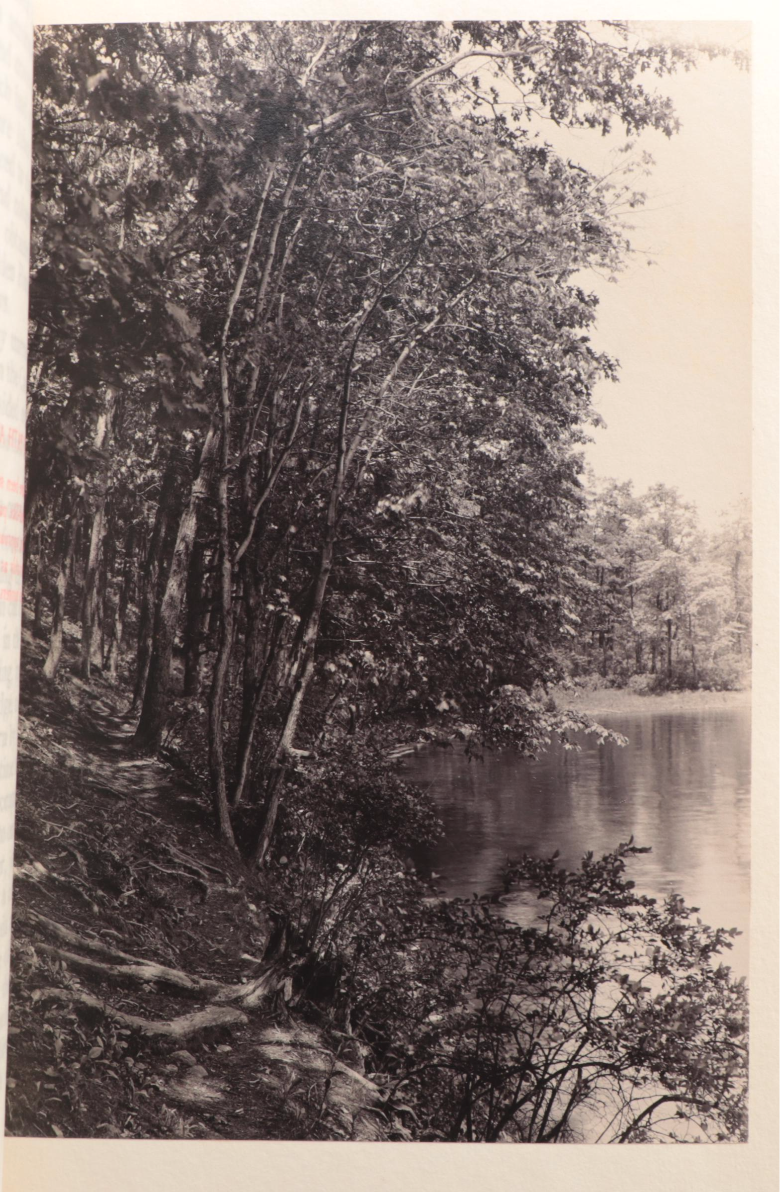 Limited Edition "Walden" Two-Volume Set by Henry David Thoreau, 1909