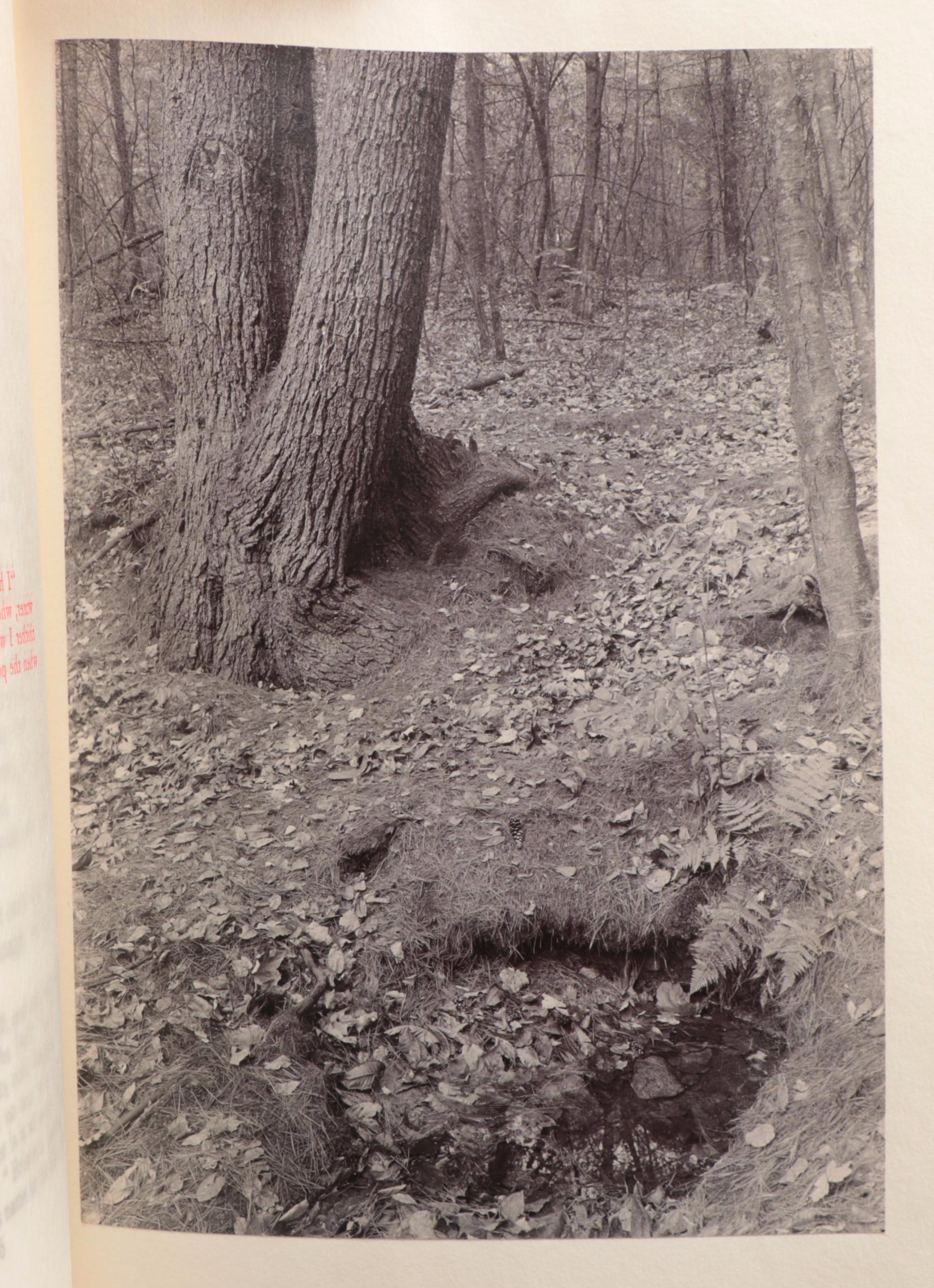 Limited Edition "Walden" Two-Volume Set by Henry David Thoreau, 1909