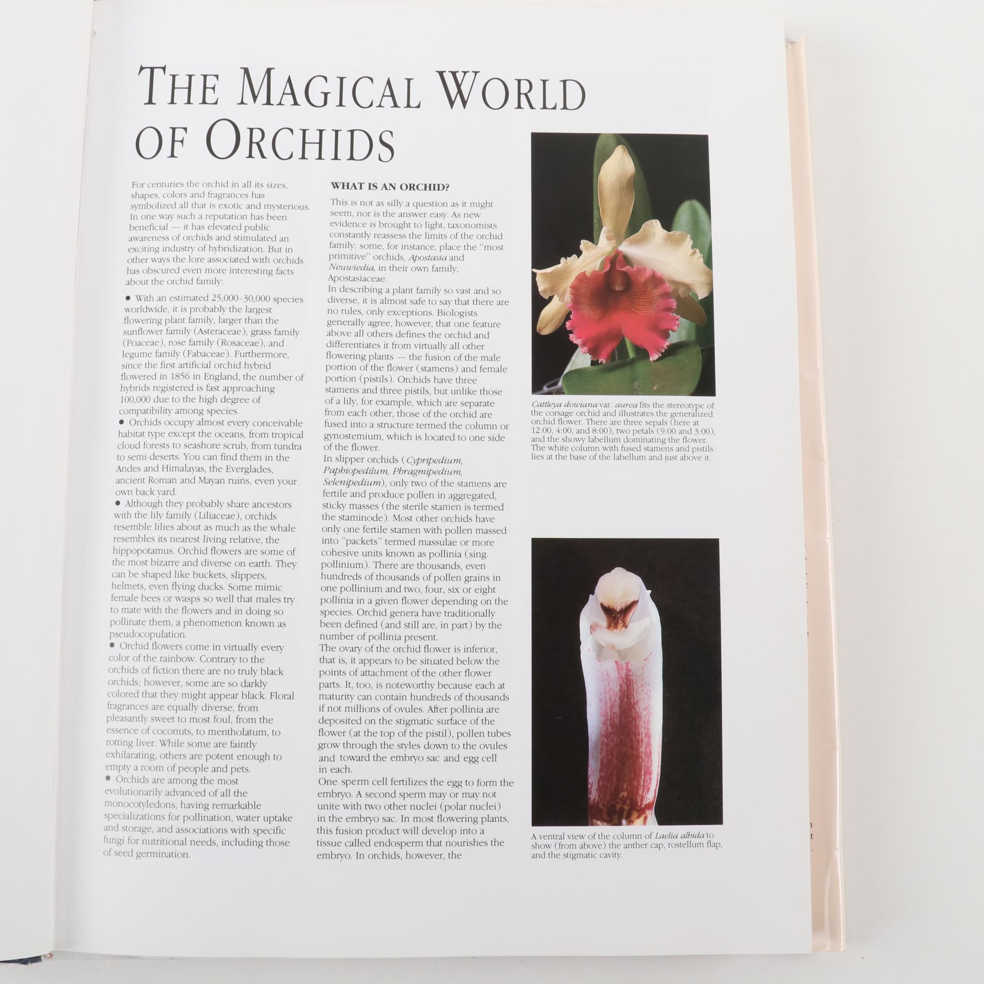 First American Edition "Encyclopedia of Gardening" and More Gardening Books