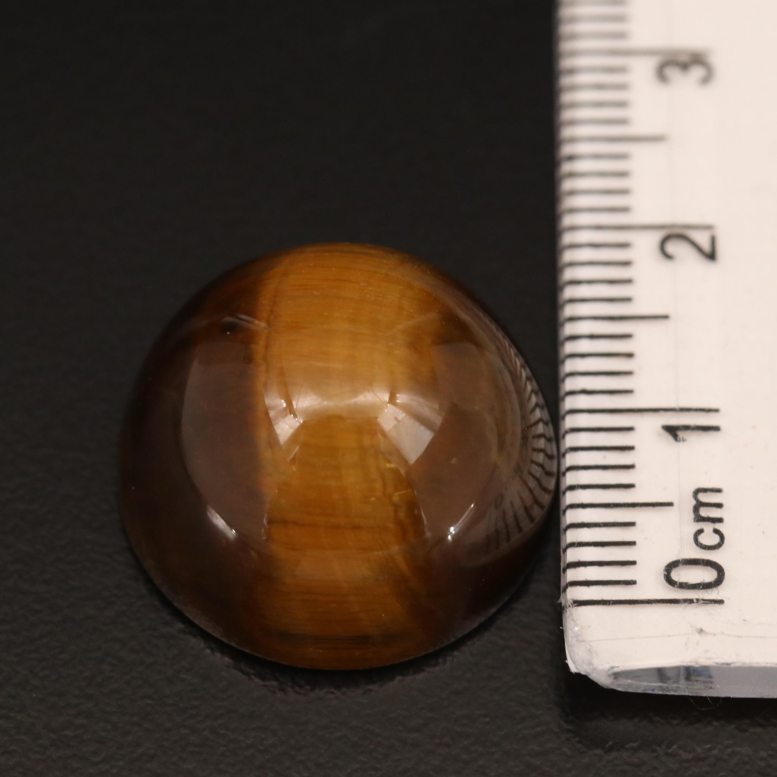 Loose Round Tiger's Eye Cabochon