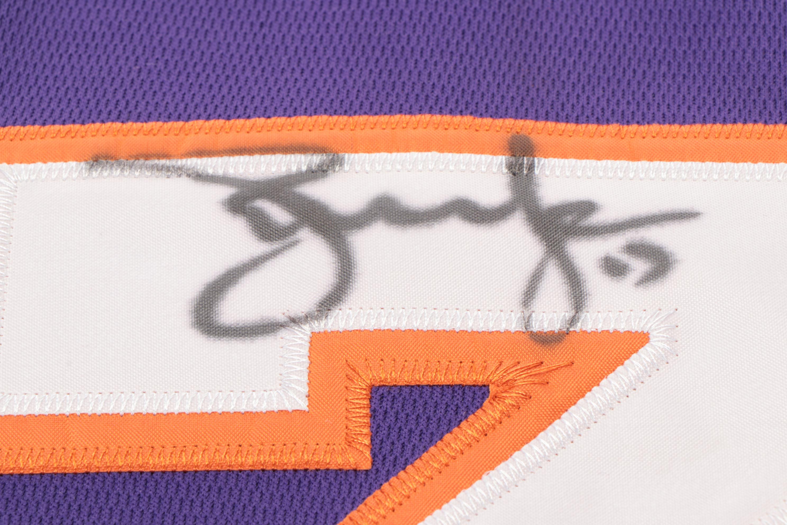 Steve Nash and Amar'e Stoudemire Signed Adidas Charlotte Hornets Jerseys, COAs