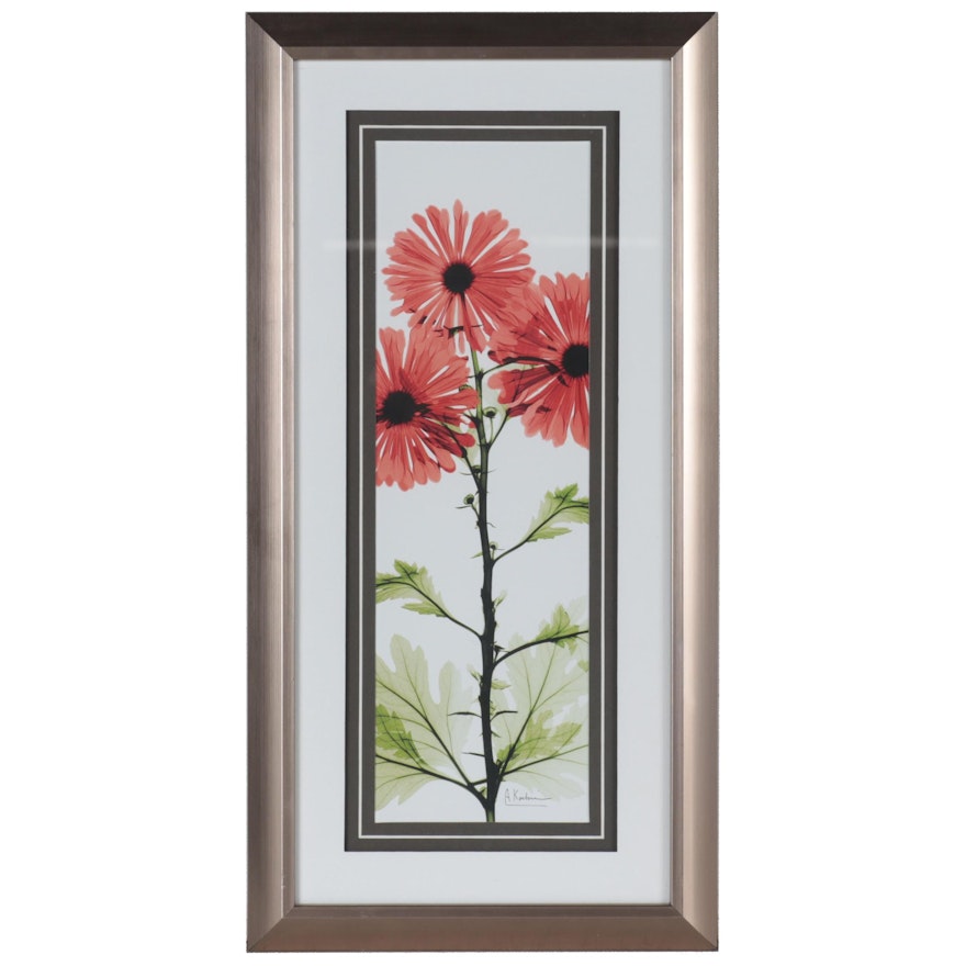 Offset Lithograph of Red Flowers