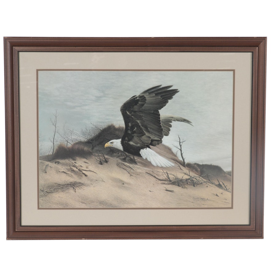 Charles Fracé Offset Lithograph "American Eagle at Walking Dunes"