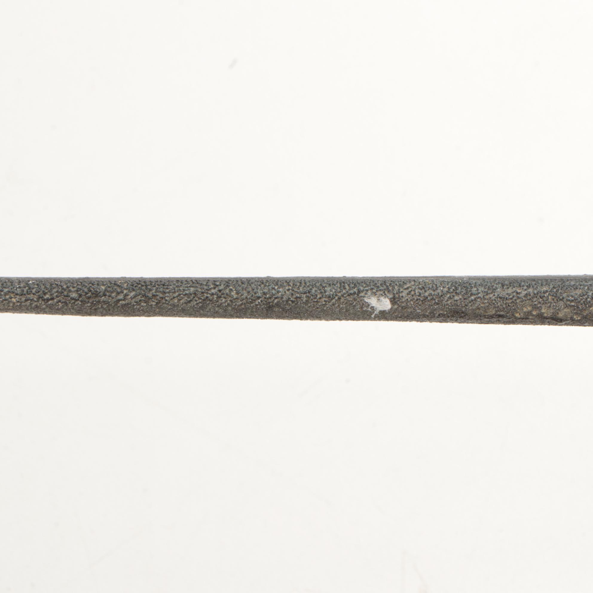 Blue Sailfish Taxidermy Fiberglass Full Body Wall Mount