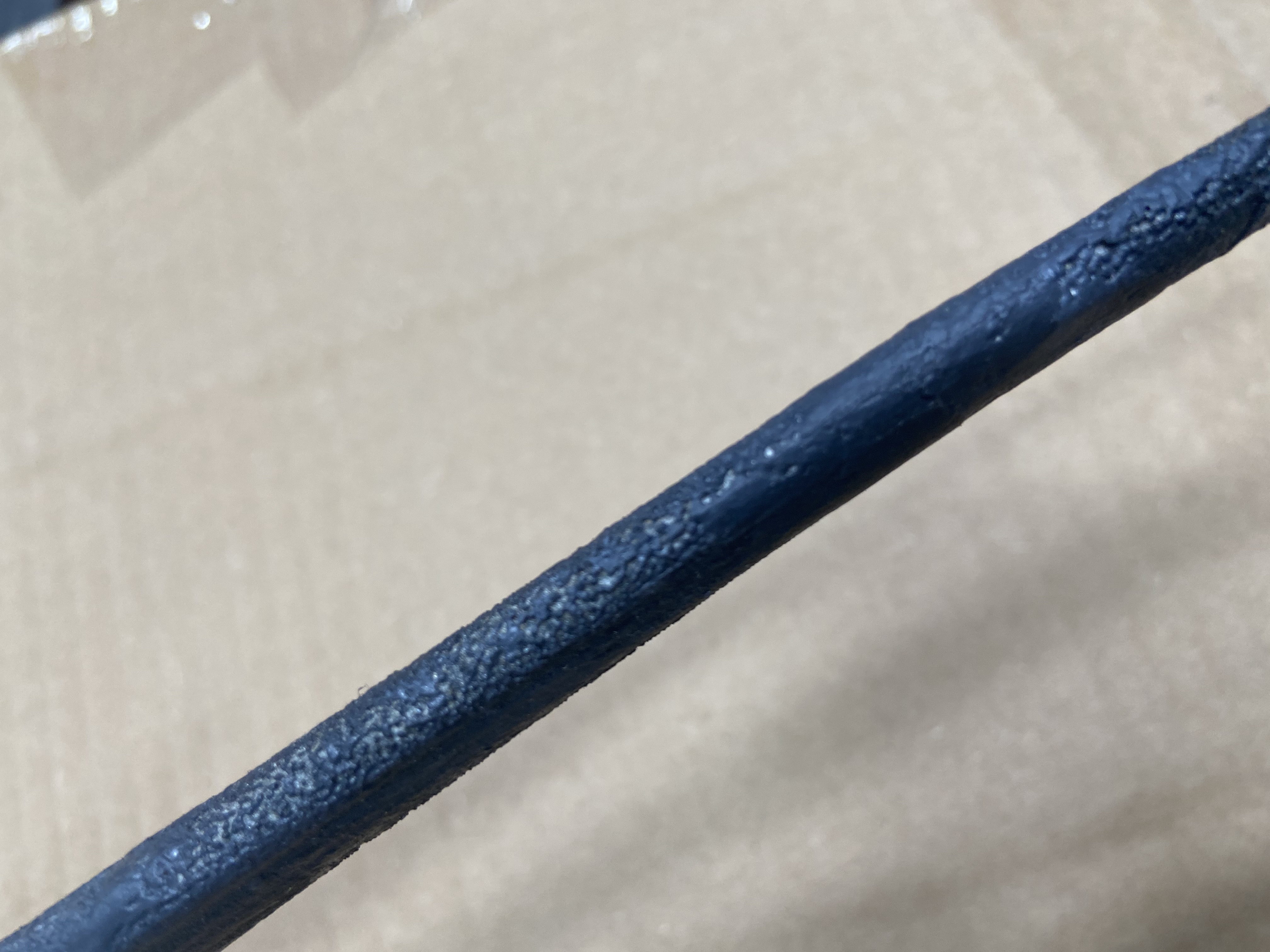 Blue Sailfish Taxidermy Fiberglass Full Body Wall Mount