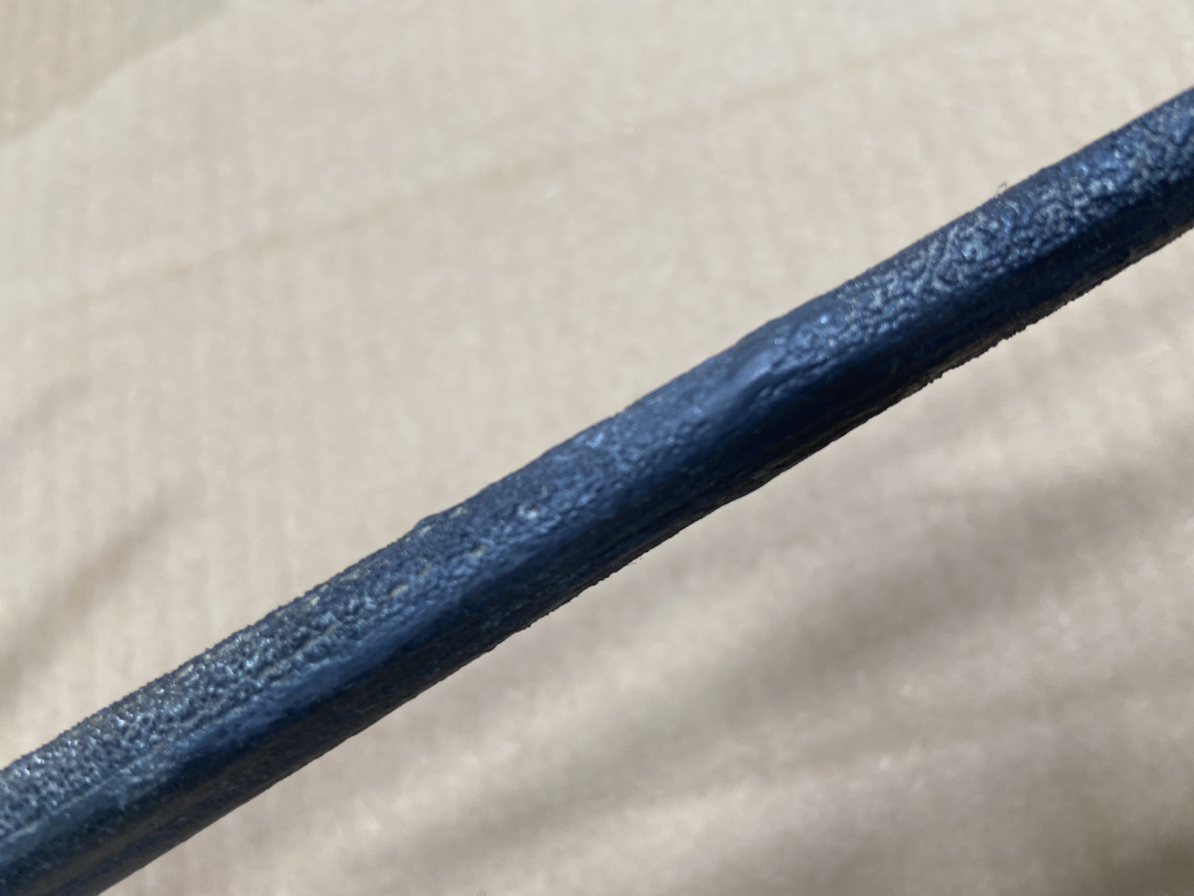 Blue Sailfish Taxidermy Fiberglass Full Body Wall Mount