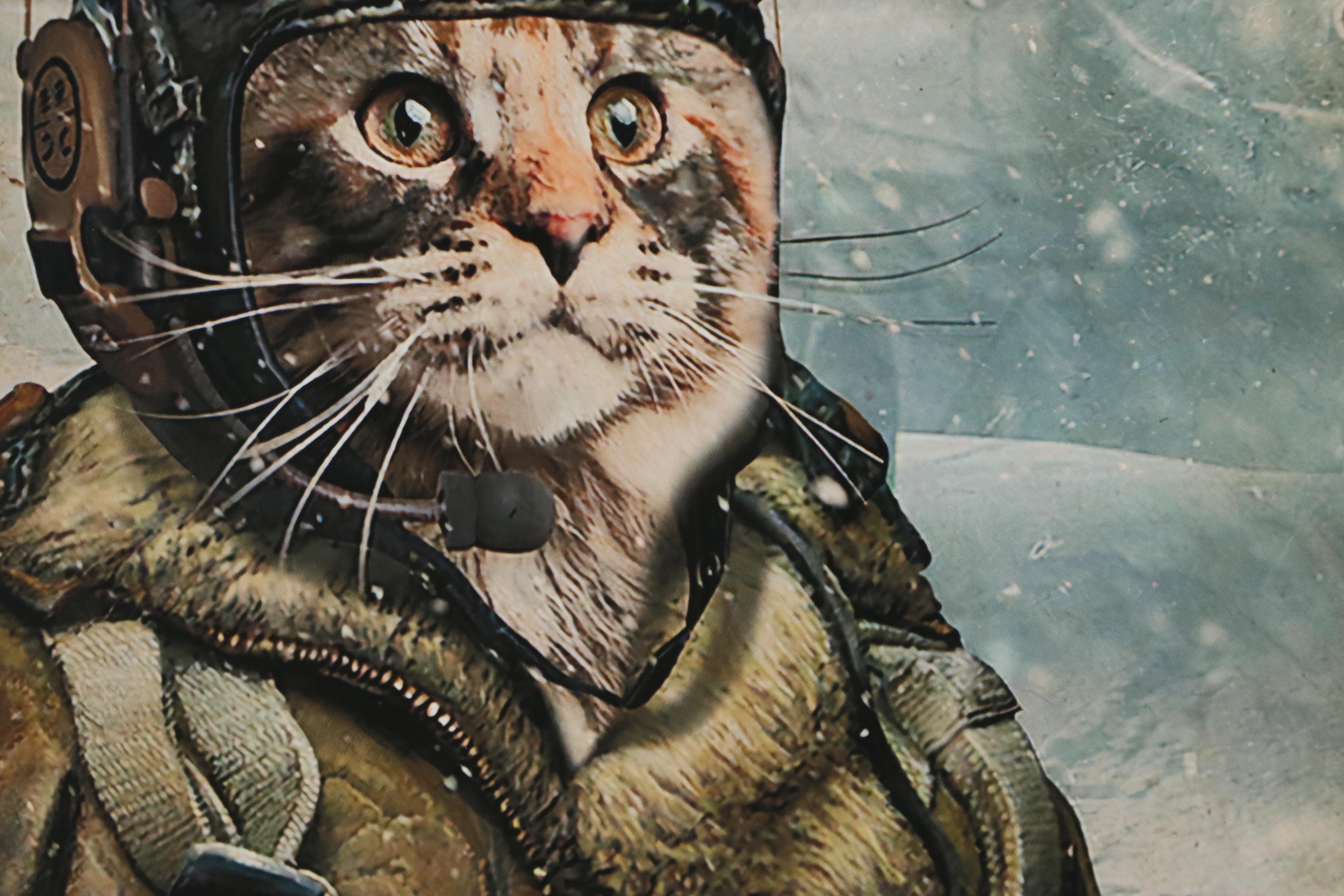 Giclée of Fighter Pilot Cat, 21st Century