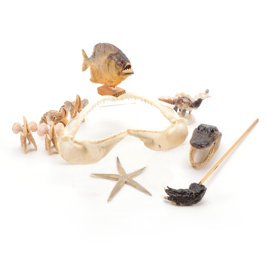 Collection of Aquatic Decor Including Starfish Elephant Figurines and Piranha