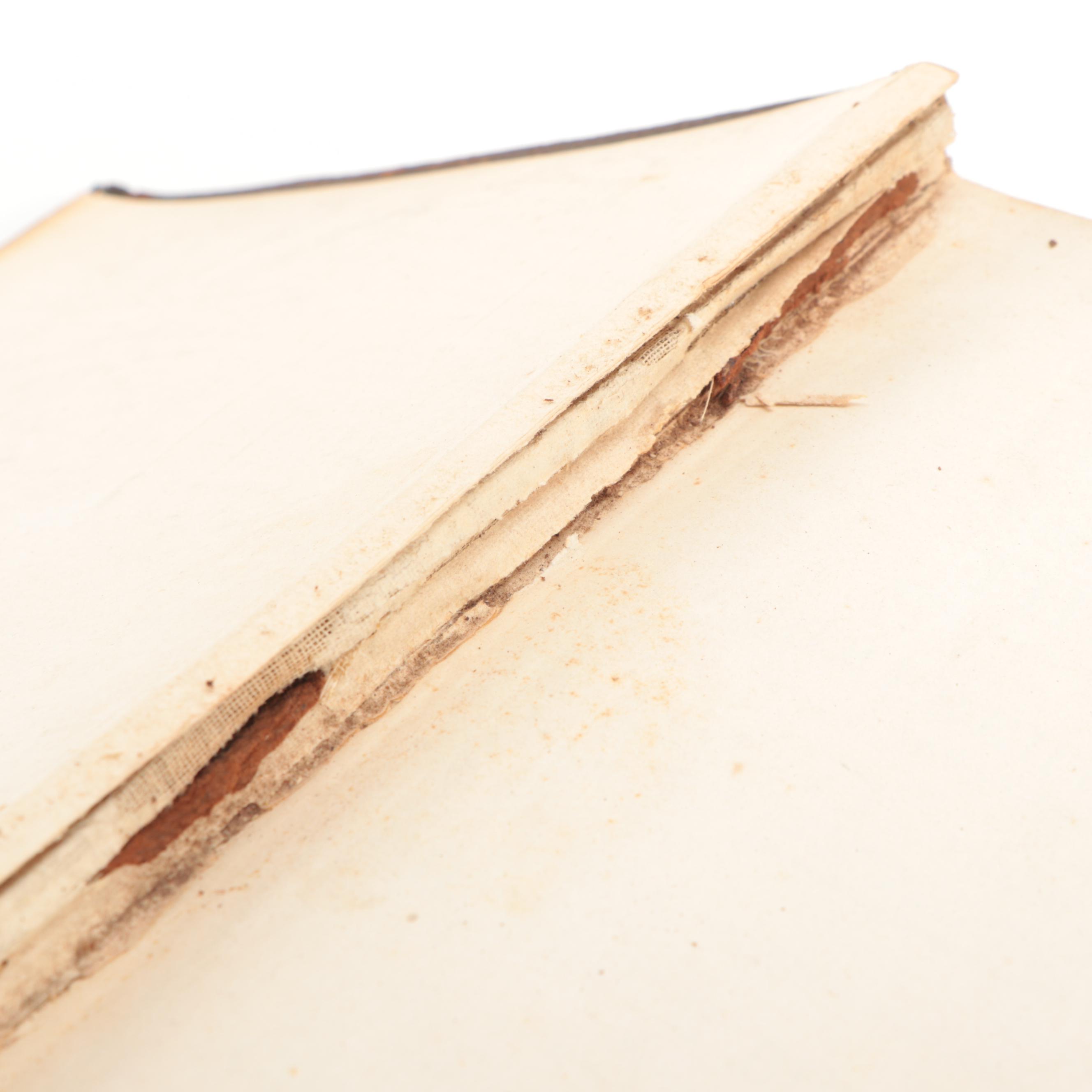 Wilmore's New Analytical Reference Bible, 1899