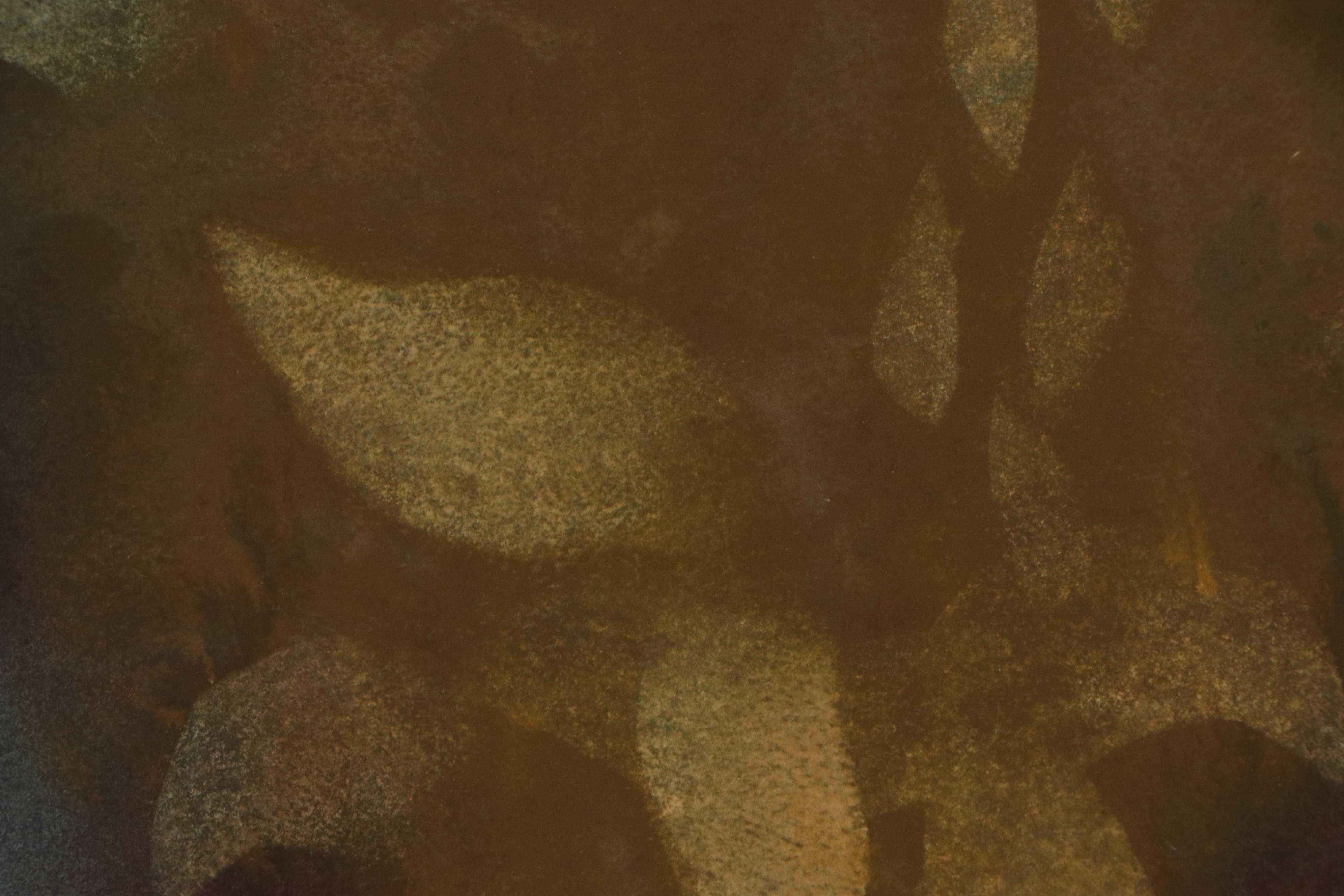 Kathleen Zimbicki Watercolor Painting and Mixed Media Painting