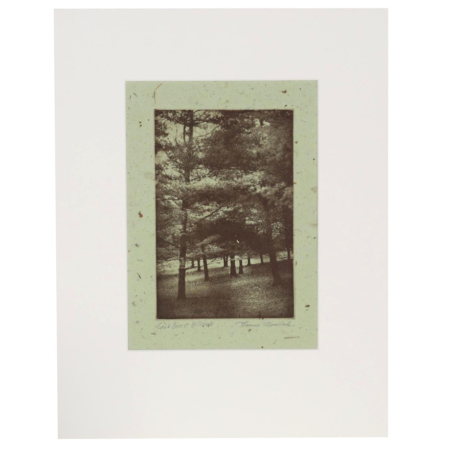 Thomas Norulak Etching on Handmade Paper "Cook Forest Hillside - HMP," 2004