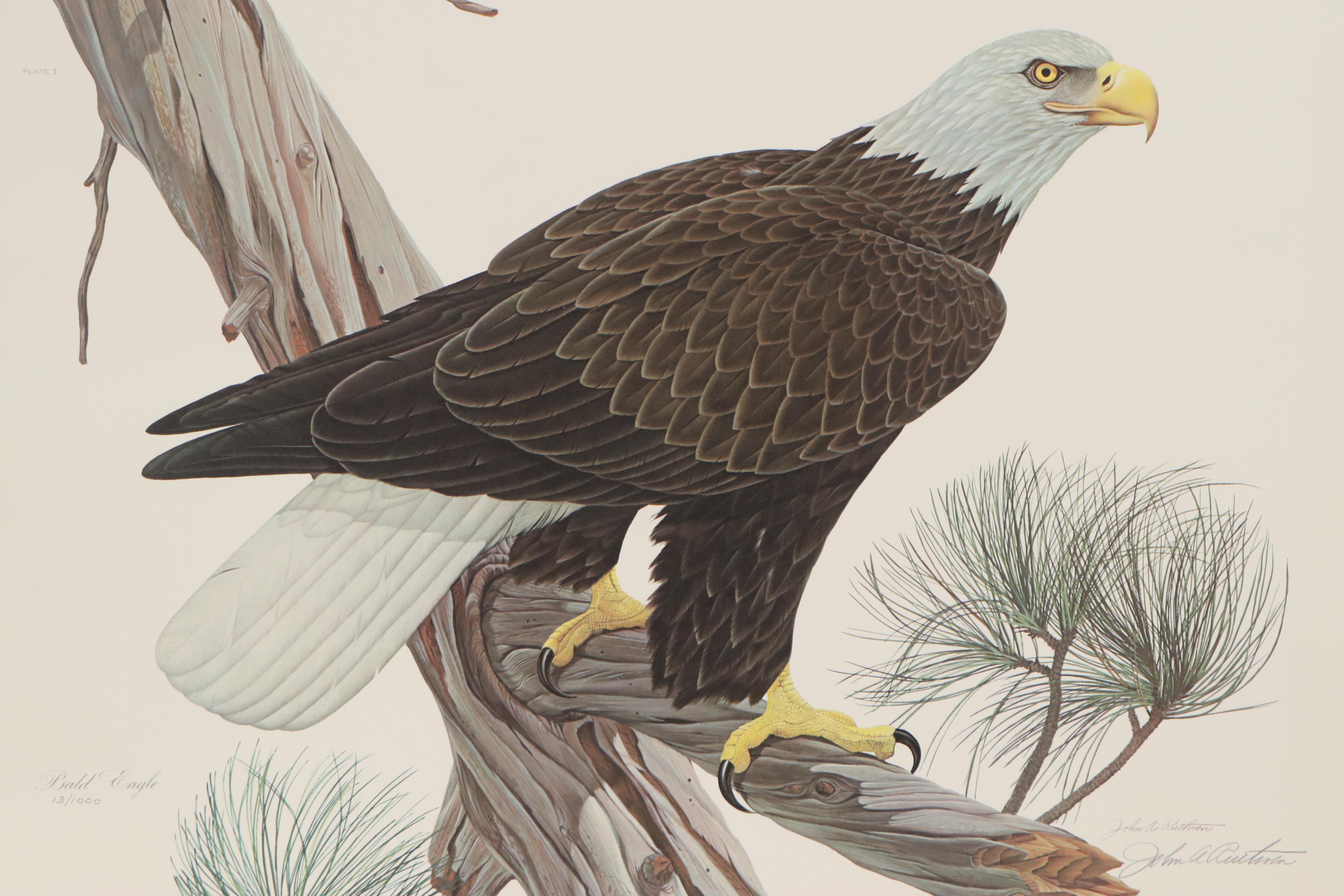 John A. Ruthven Offset Lithograph "Bald Eagle," 1968