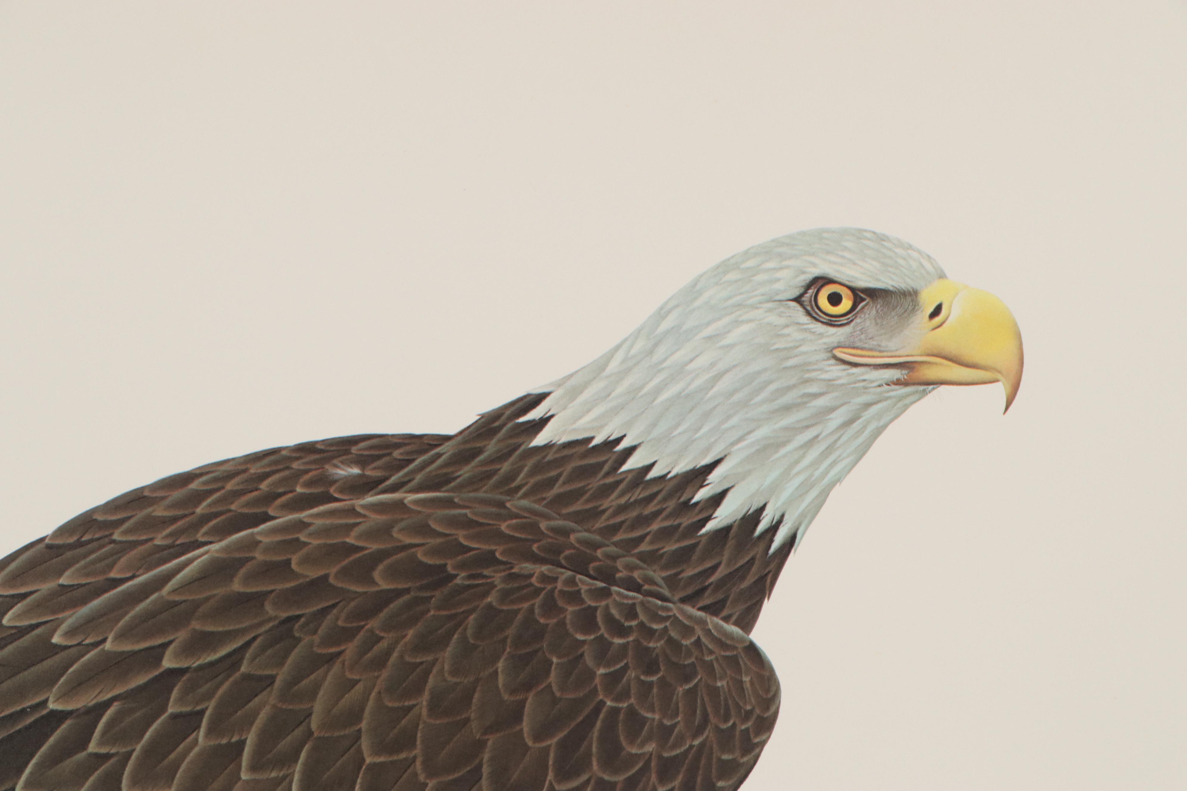 John A. Ruthven Offset Lithograph "Bald Eagle," 1968