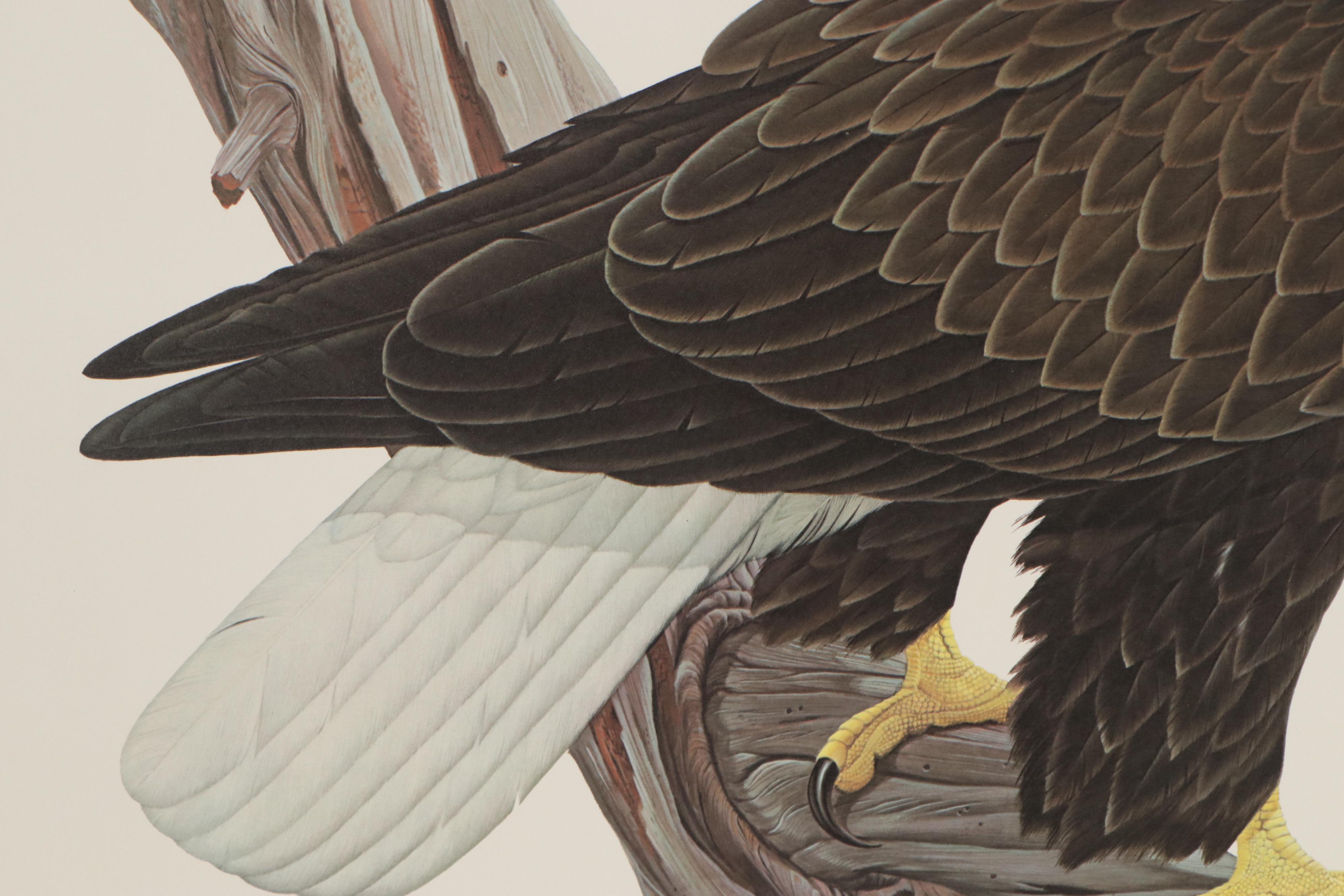 John A. Ruthven Offset Lithograph "Bald Eagle," 1968