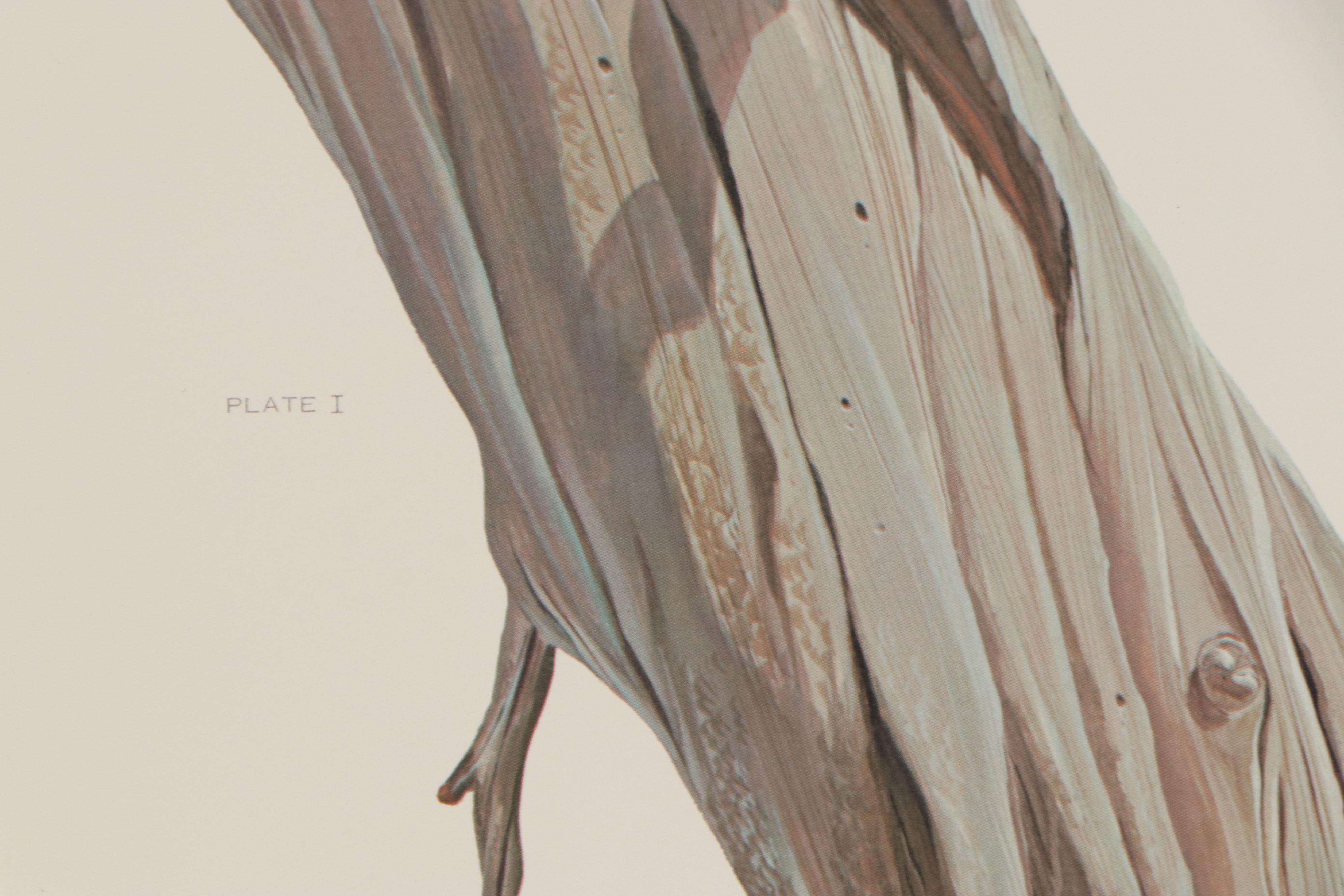 John A. Ruthven Offset Lithograph "Bald Eagle," 1968