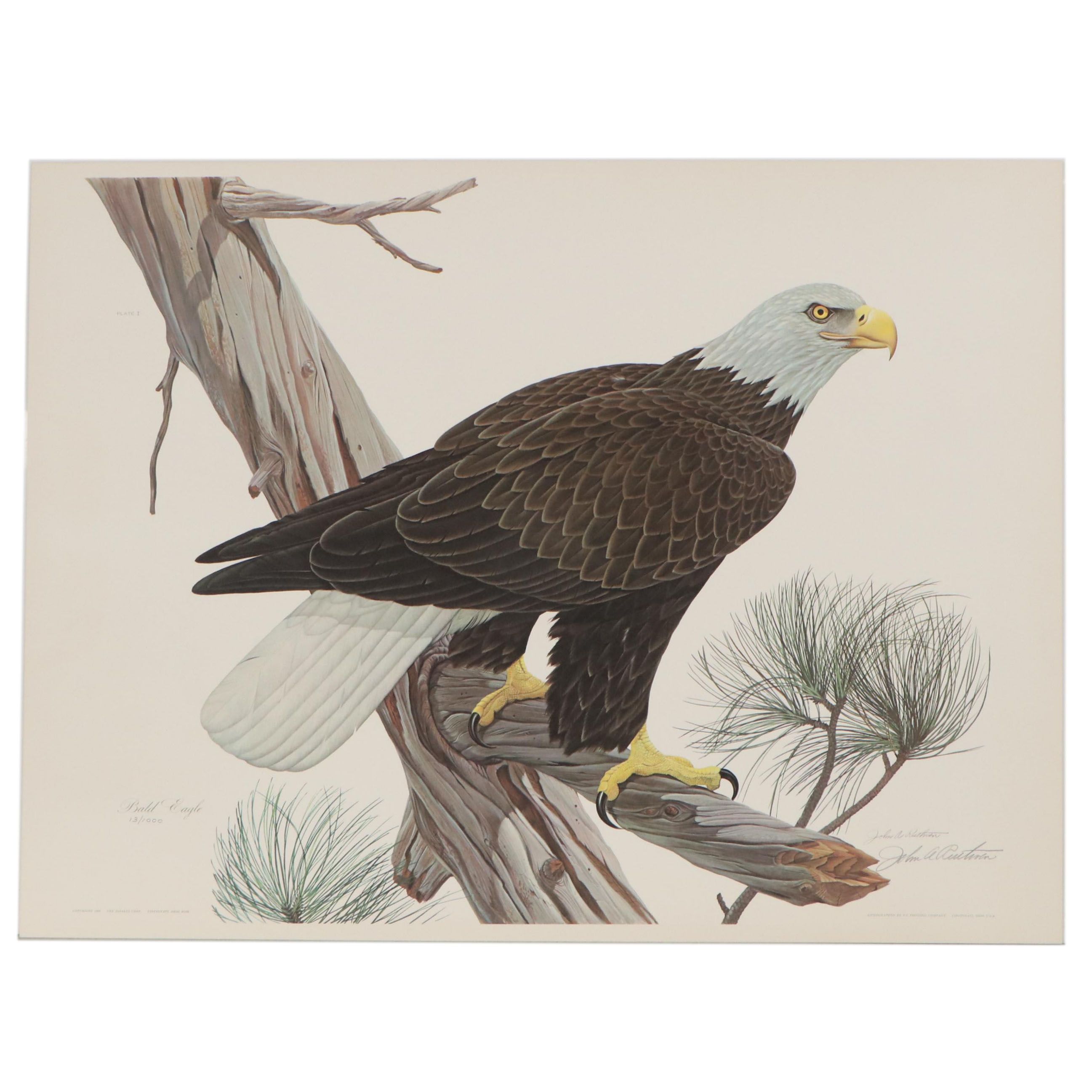 John A. Ruthven Offset Lithograph "Bald Eagle," 1968