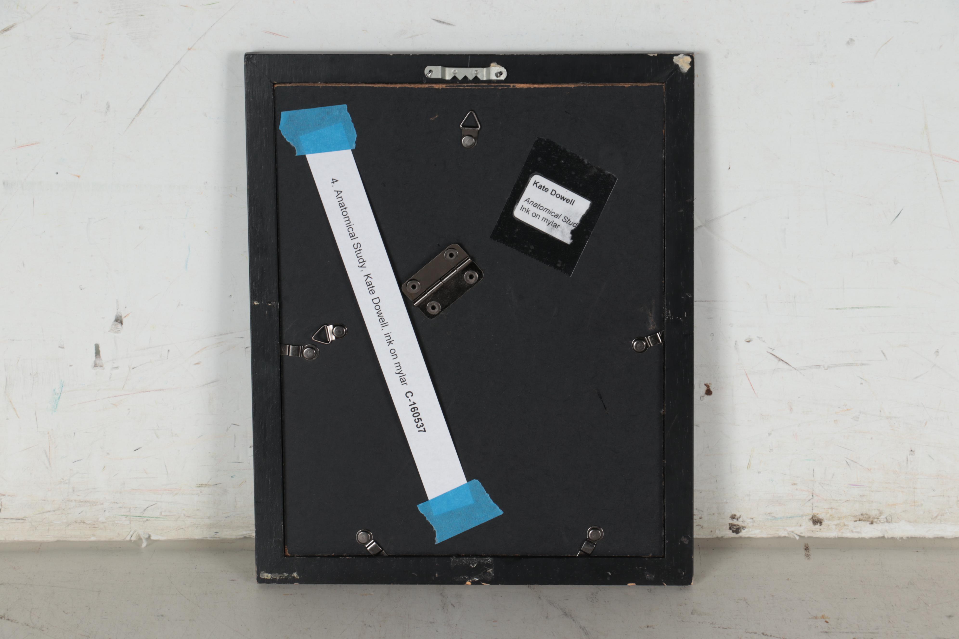 Kate Dowell Ink Drawing "Anatomical Study"