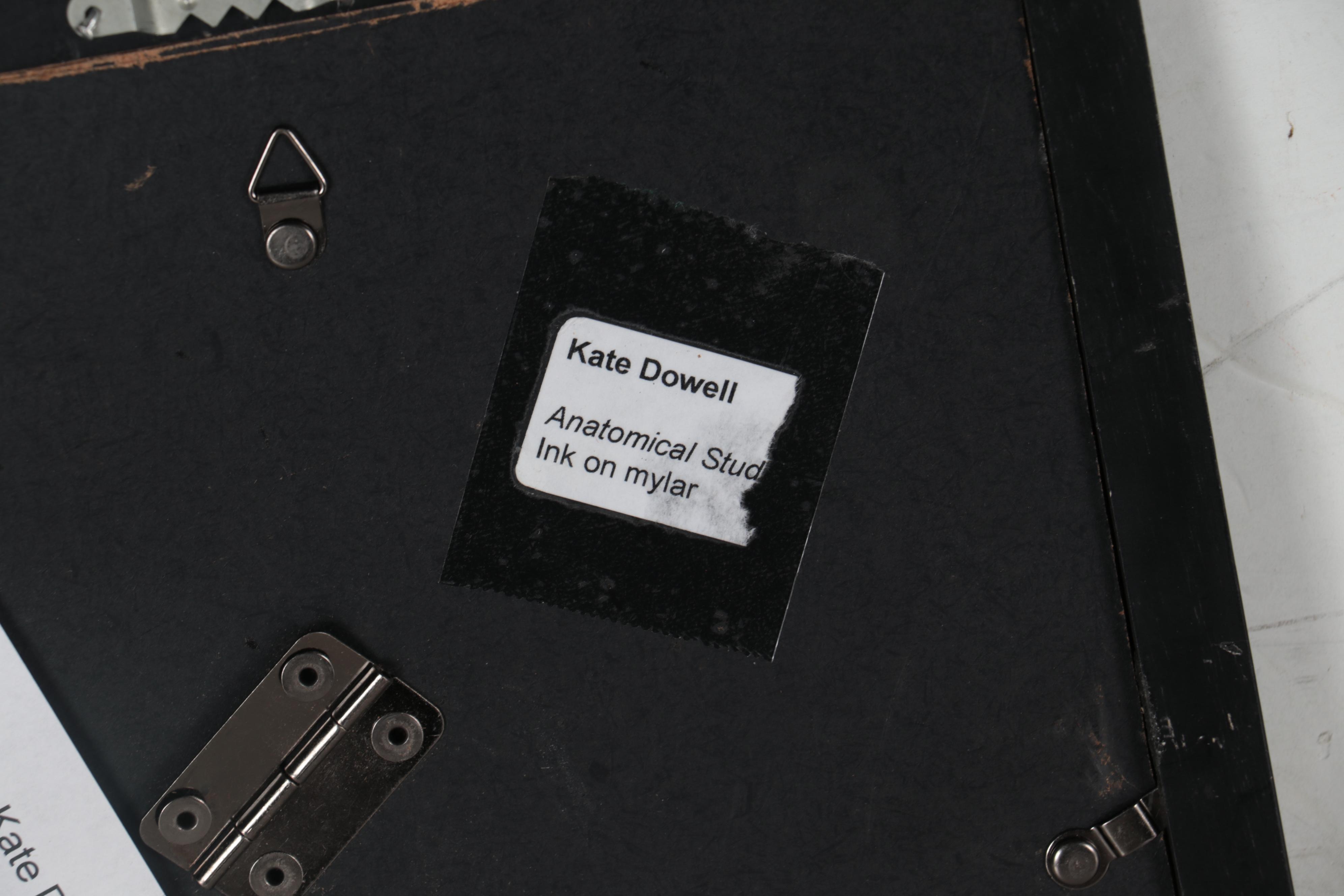 Kate Dowell Ink Drawing "Anatomical Study"