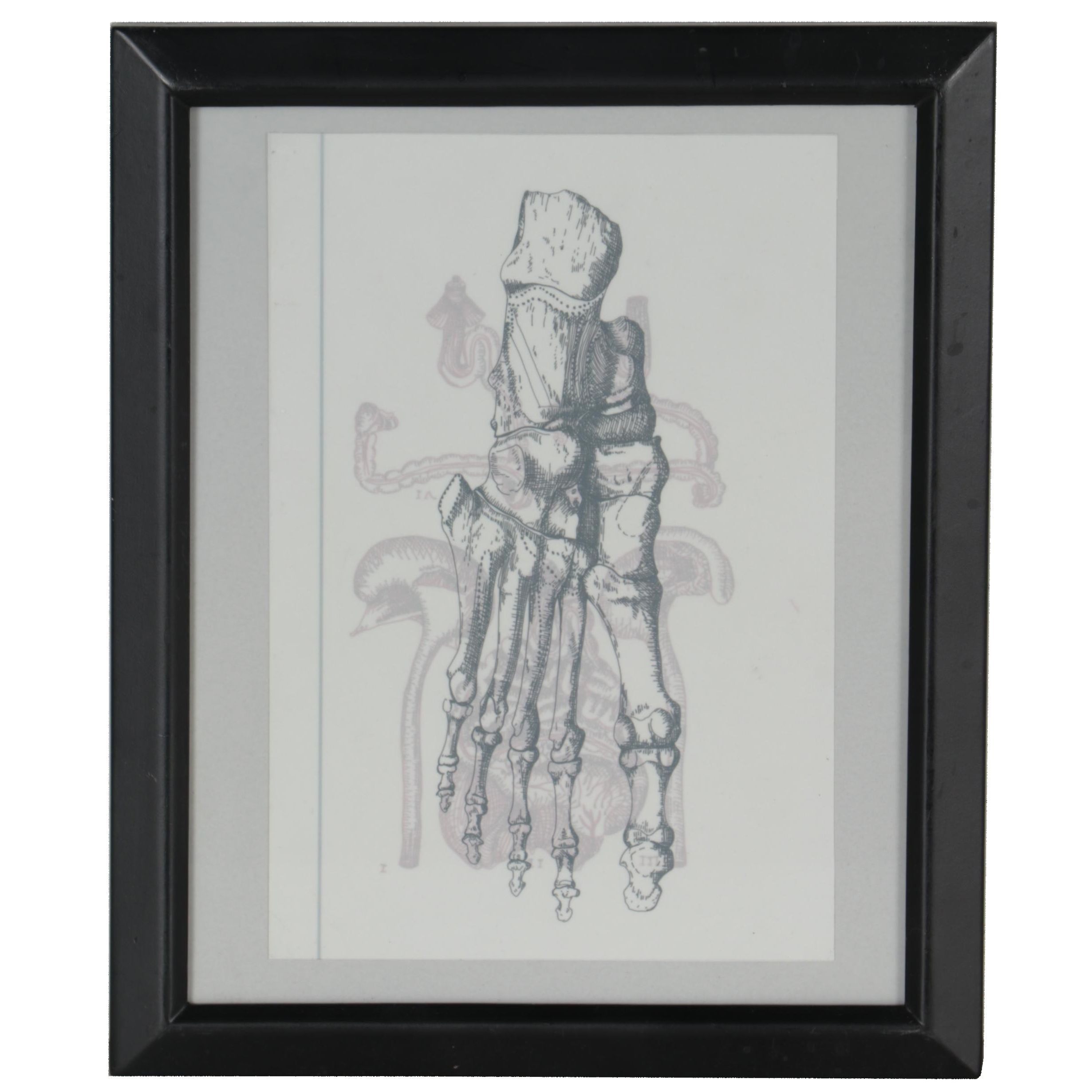 Kate Dowell Ink Drawing "Anatomical Study"