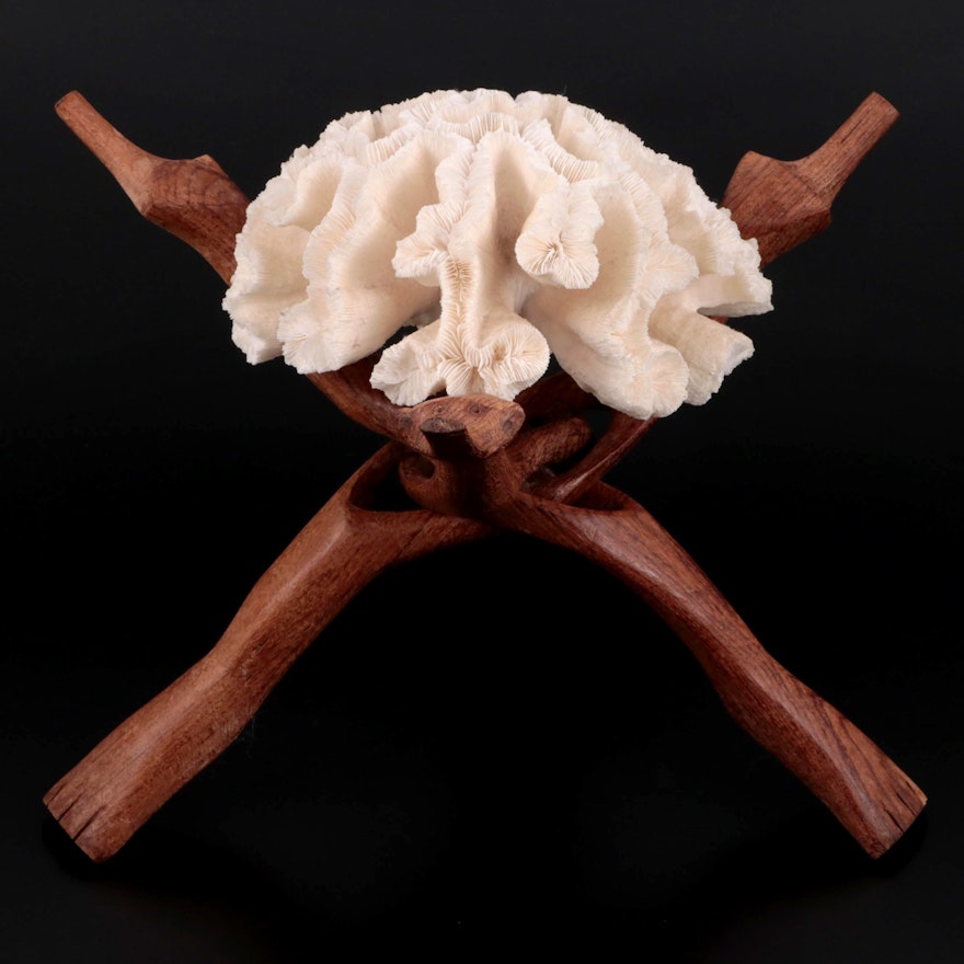 Fossilized Coral on Hand-Carved Interlocking Wood Tripod Stand
