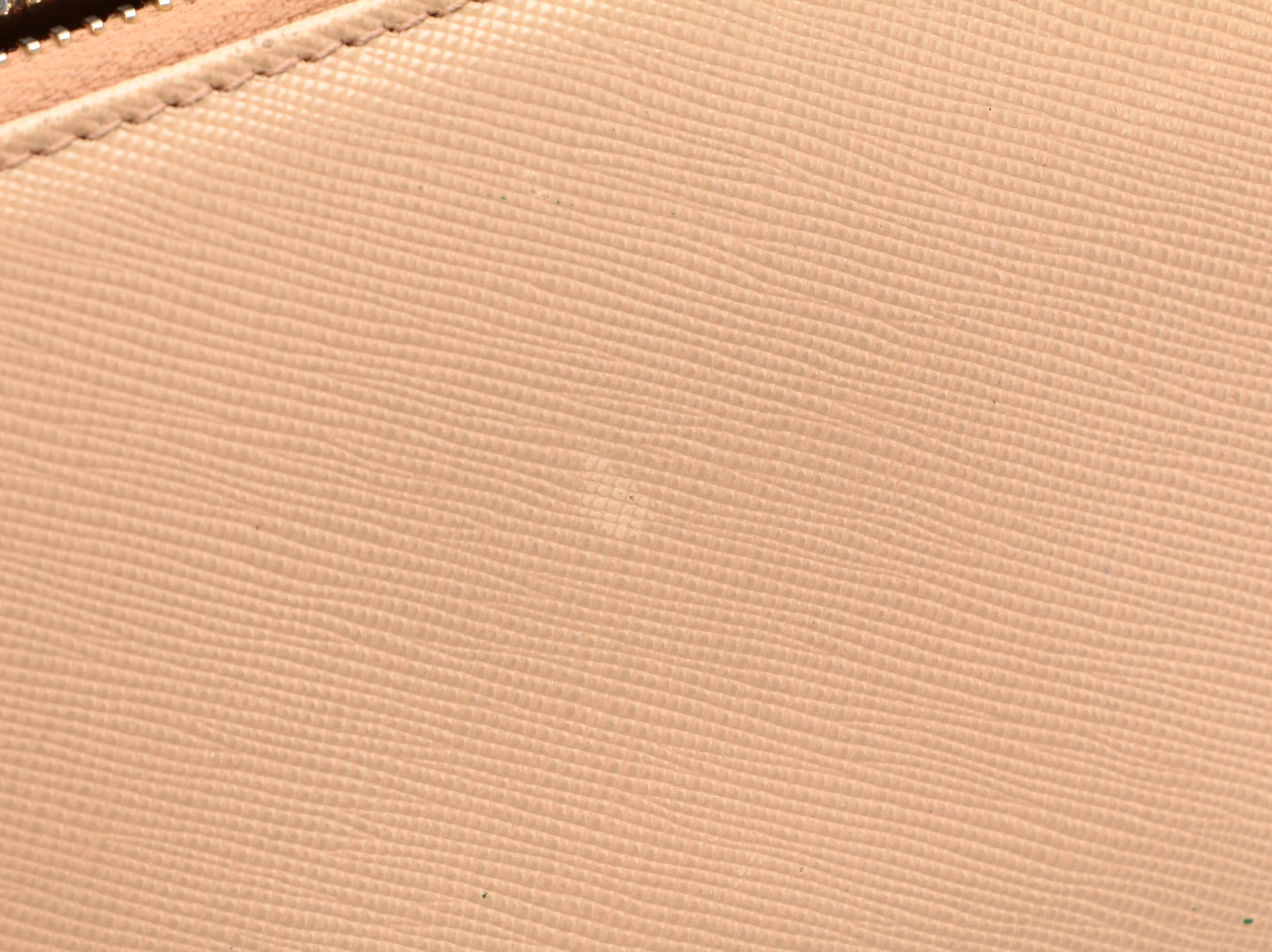 Prada Large Zipper Wallet in Blush Saffiano Leather