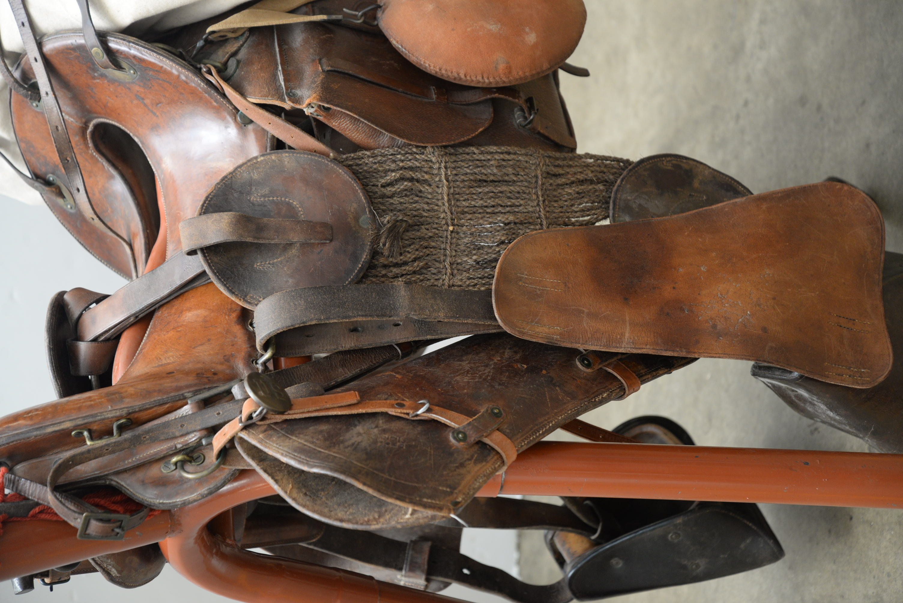 US Army Cavalry McClellan Leather Saddle and Accessories, Early 20th Century