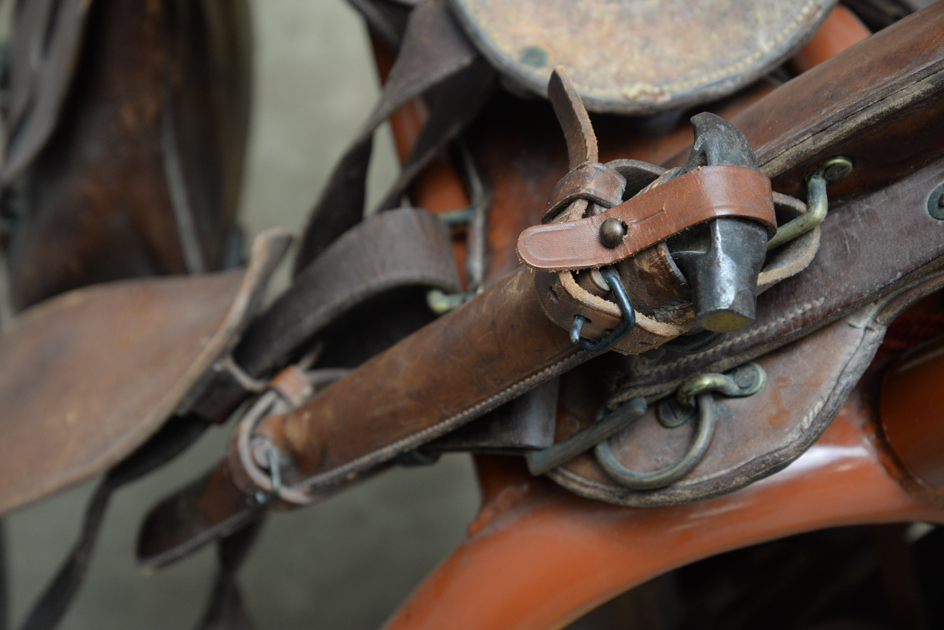 US Army Cavalry McClellan Leather Saddle and Accessories, Early 20th Century