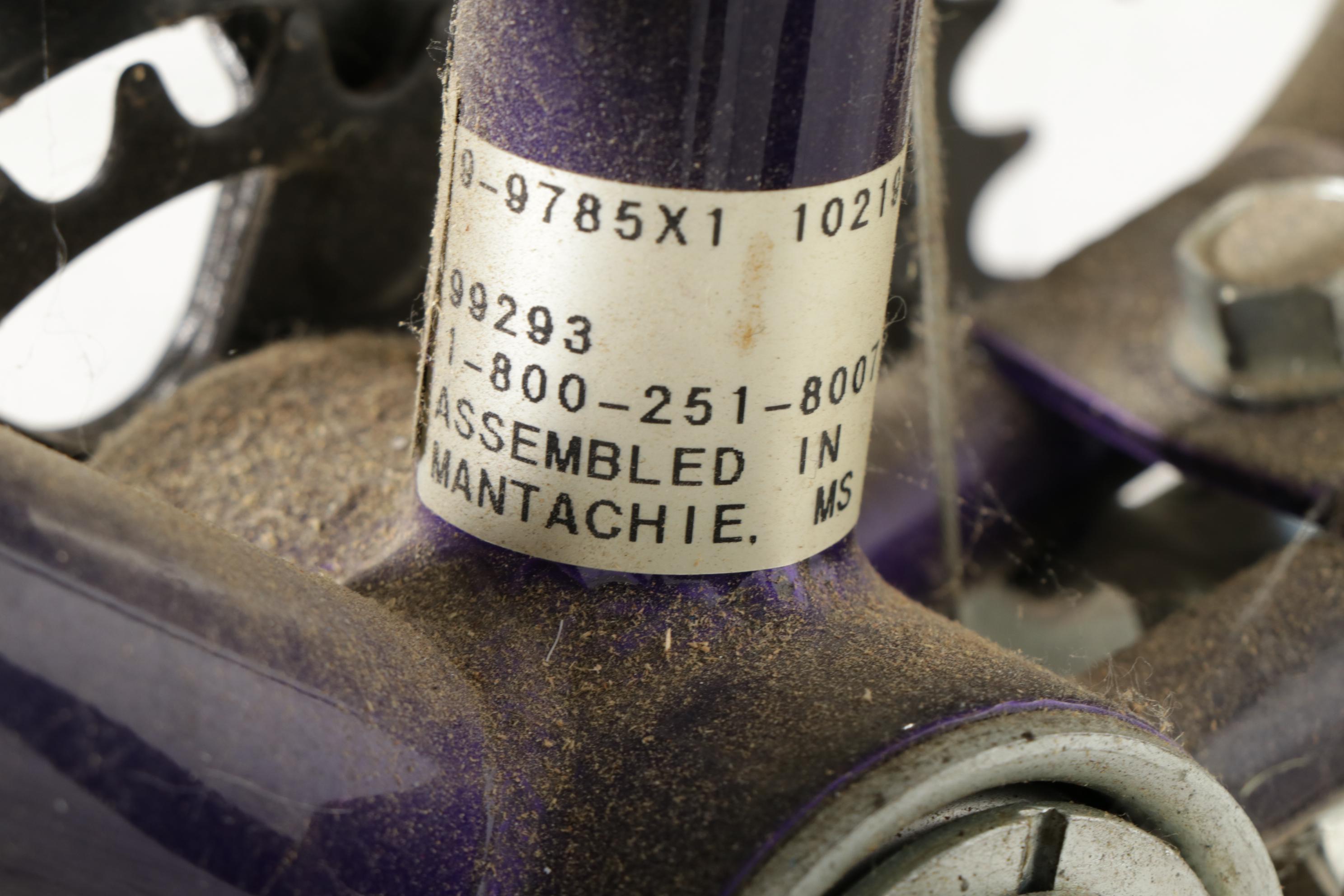 Free Spirit Outrage Mountain Bike