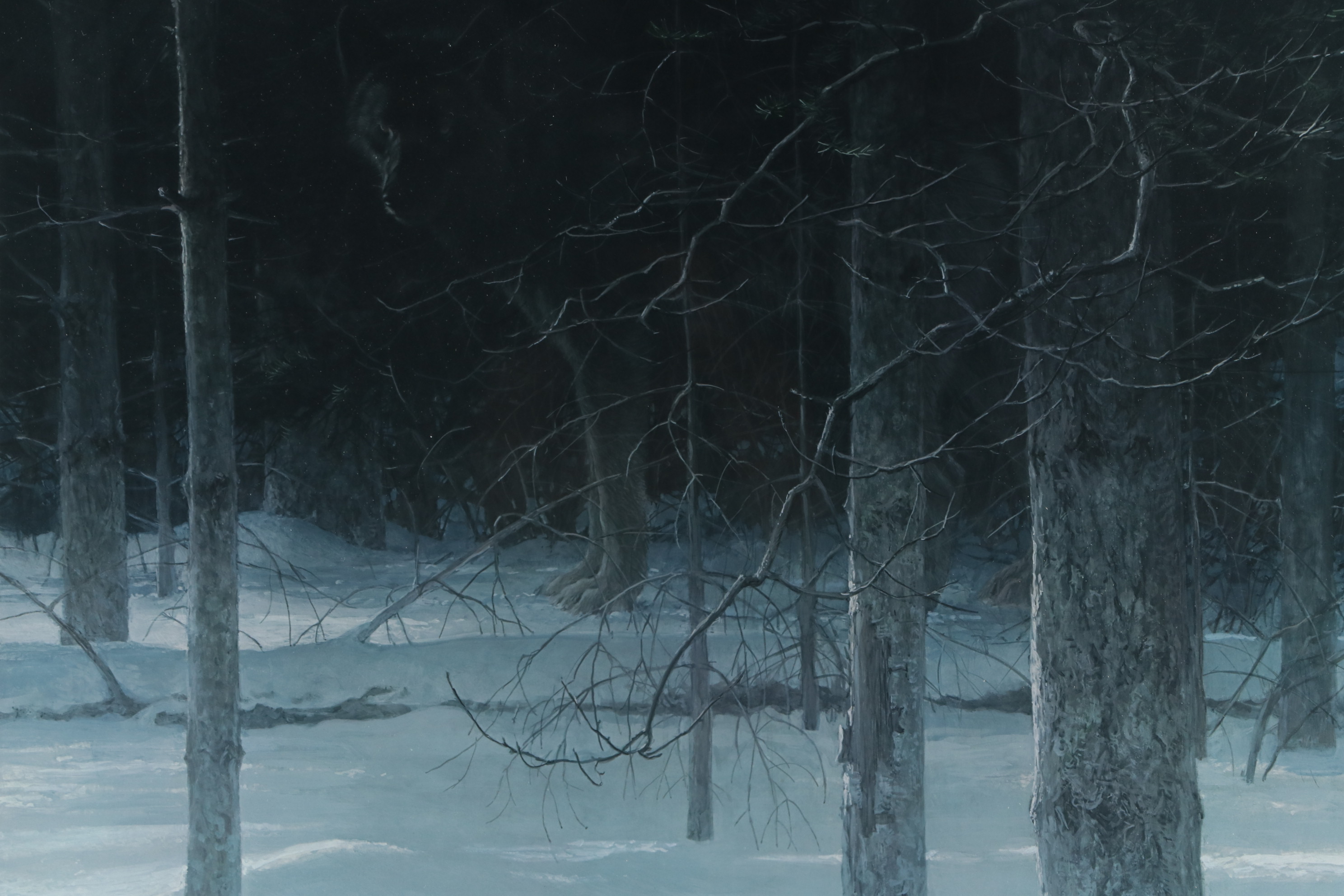 Robert Bateman Offset Lithograph "Midnight - Black Wolf", 1988