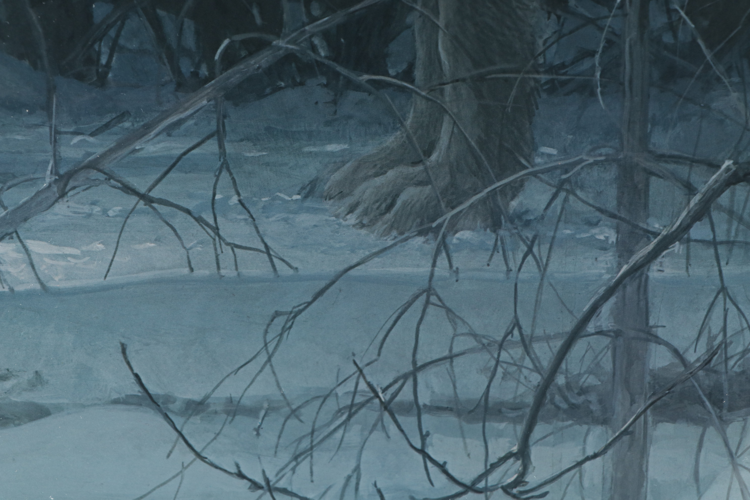 Robert Bateman Offset Lithograph "Midnight - Black Wolf", 1988