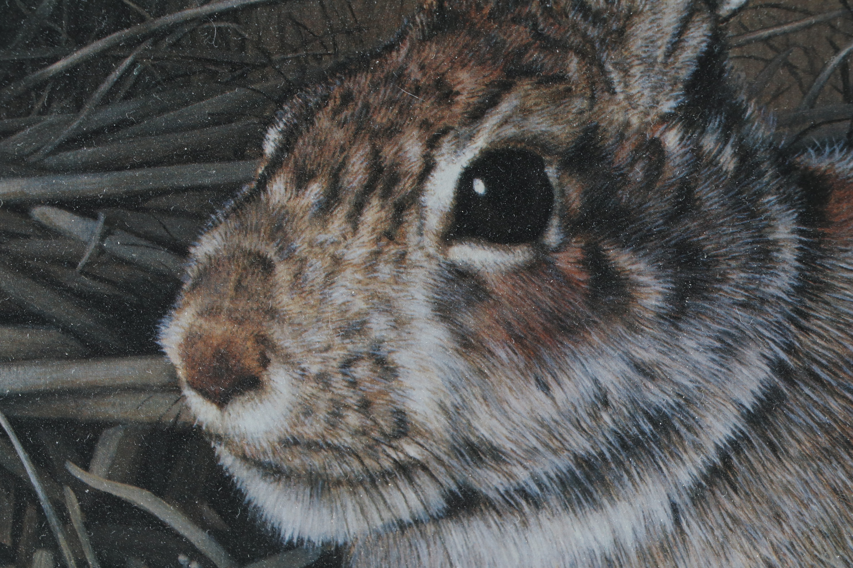 Charles Fracé Offset Lithograph "My Friend," 1984