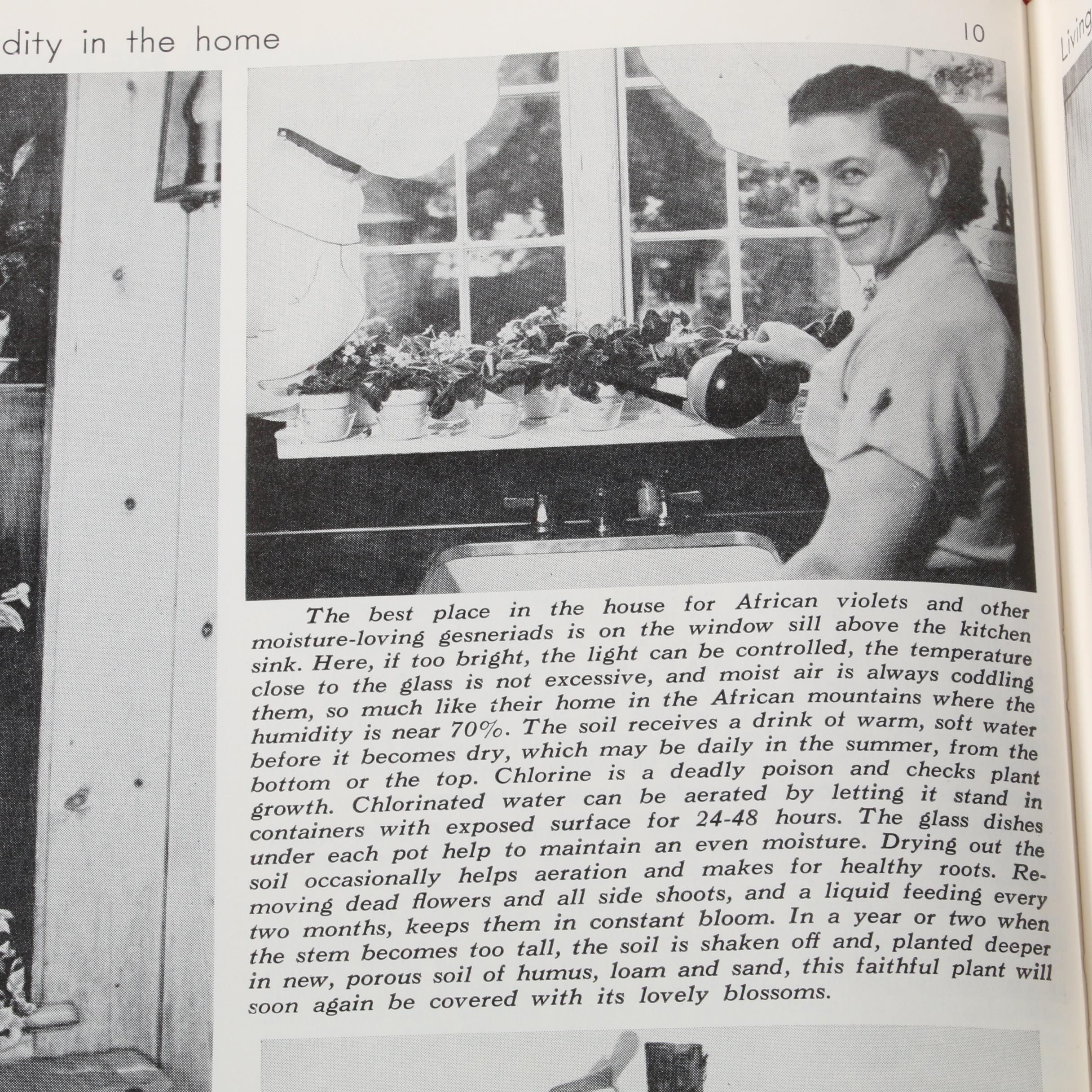 "Exotica: Pictorial Cyclopedia of Exotic Plants," 1963