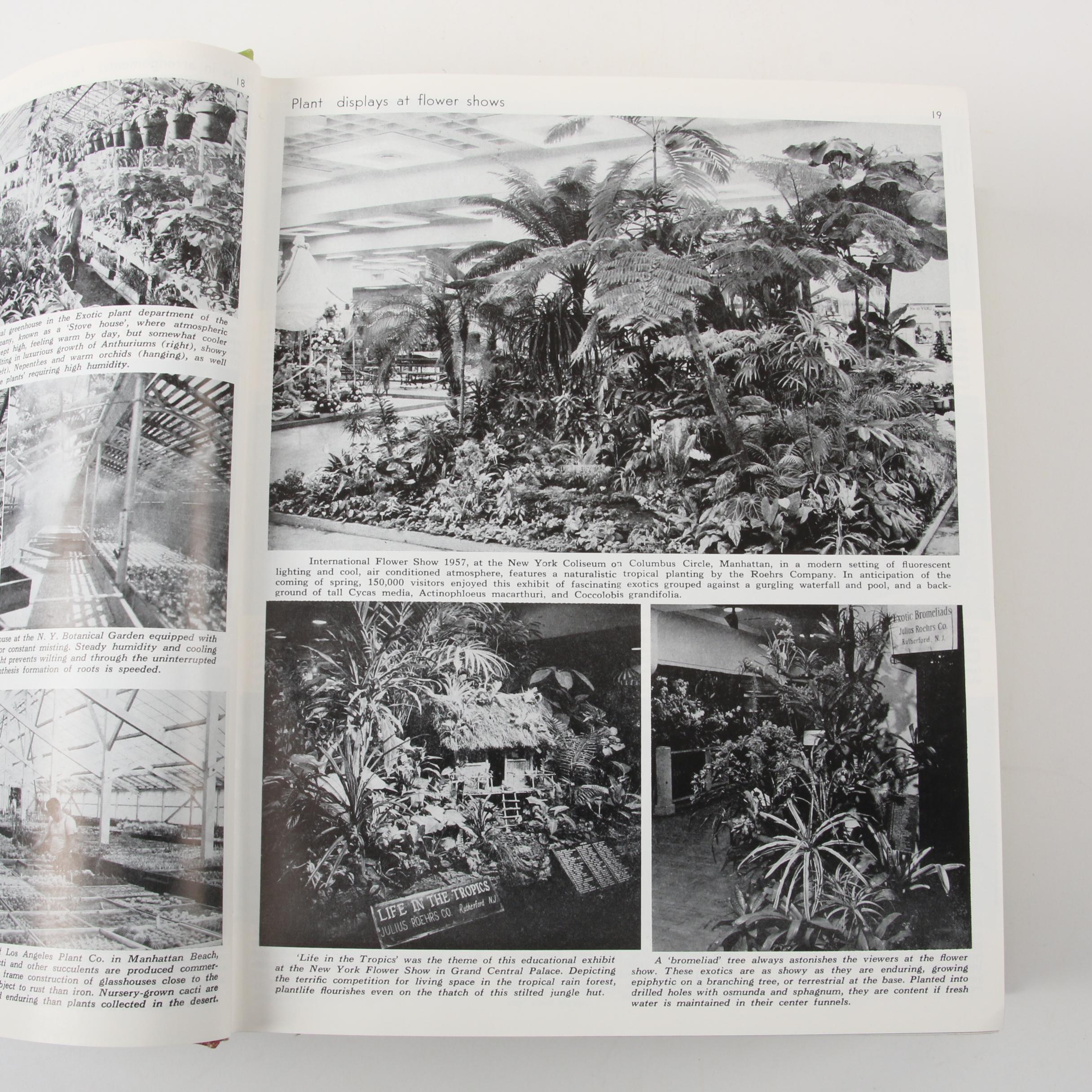 "Exotica: Pictorial Cyclopedia of Exotic Plants," 1963