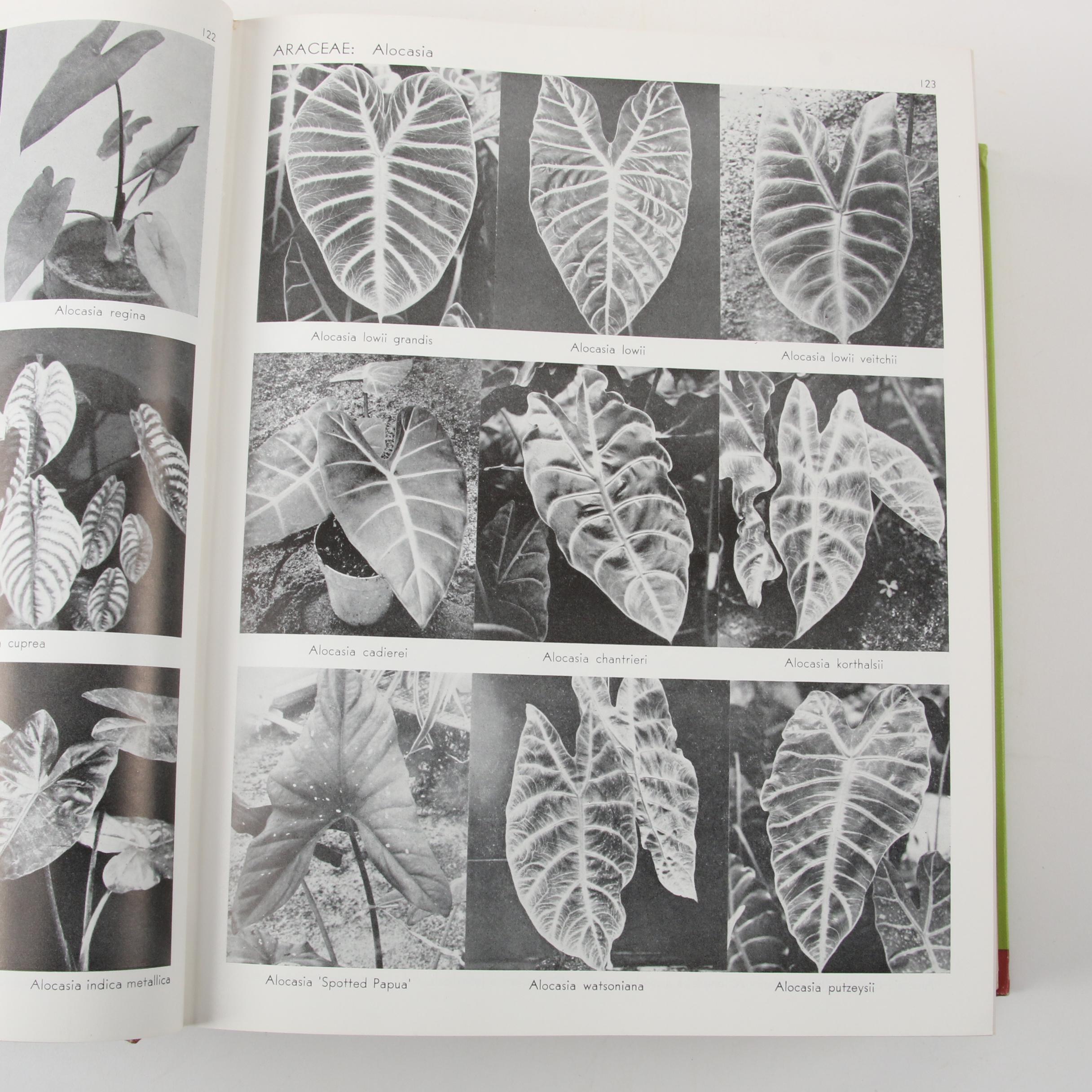 "Exotica: Pictorial Cyclopedia of Exotic Plants," 1963