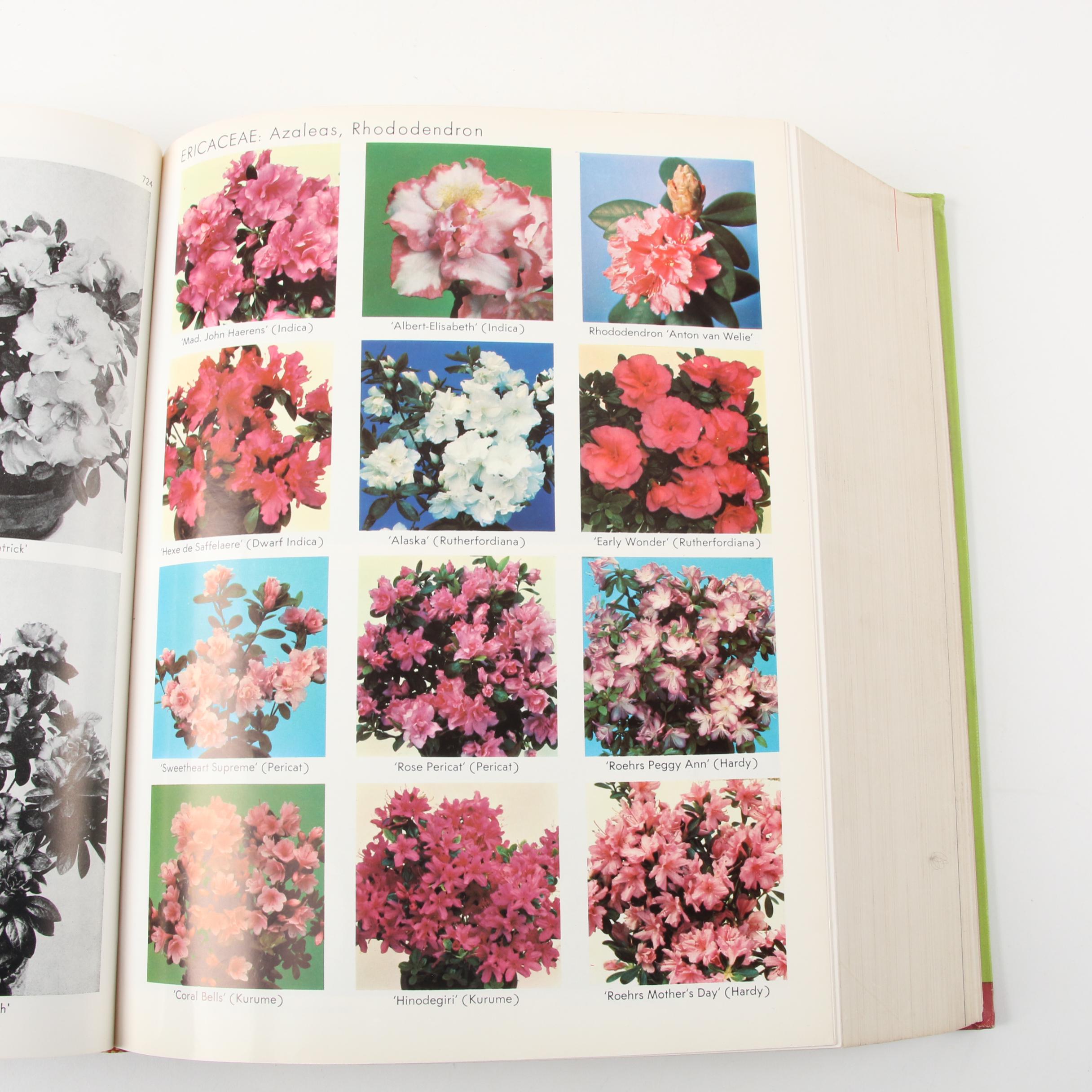 "Exotica: Pictorial Cyclopedia of Exotic Plants," 1963