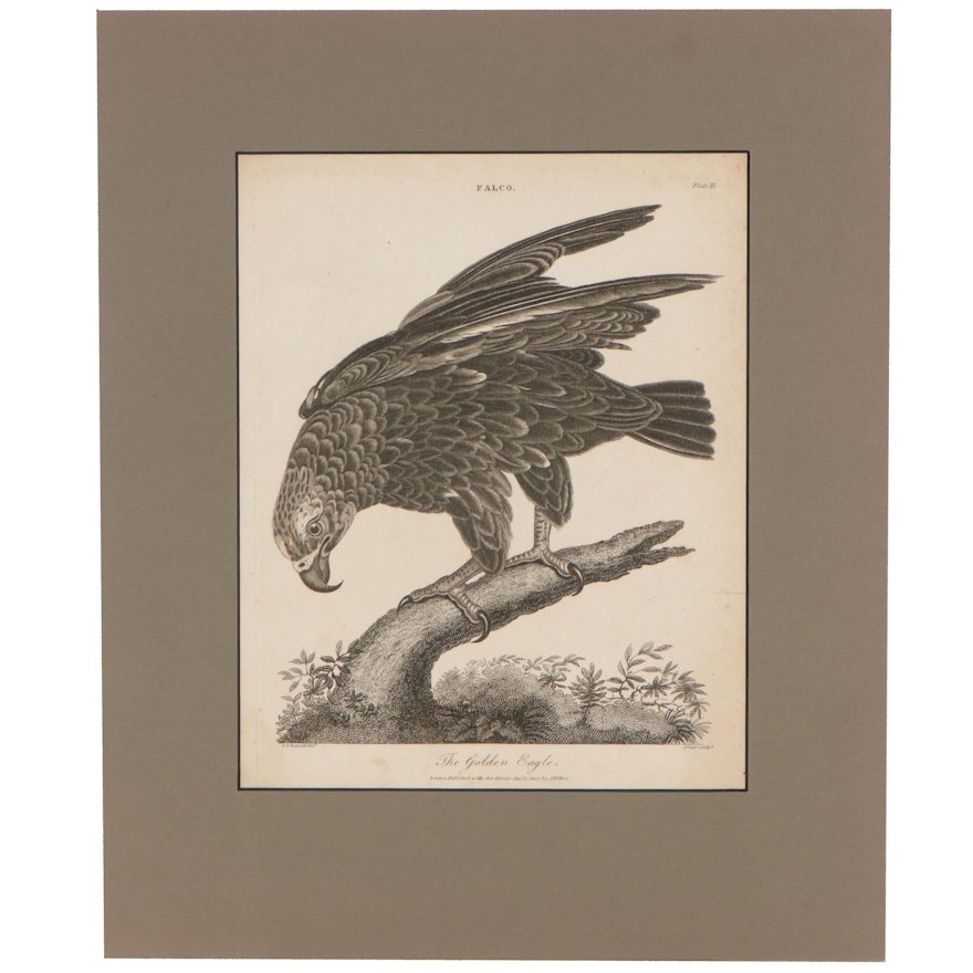 John Pass Engraving "The Golden Eagle," 1805