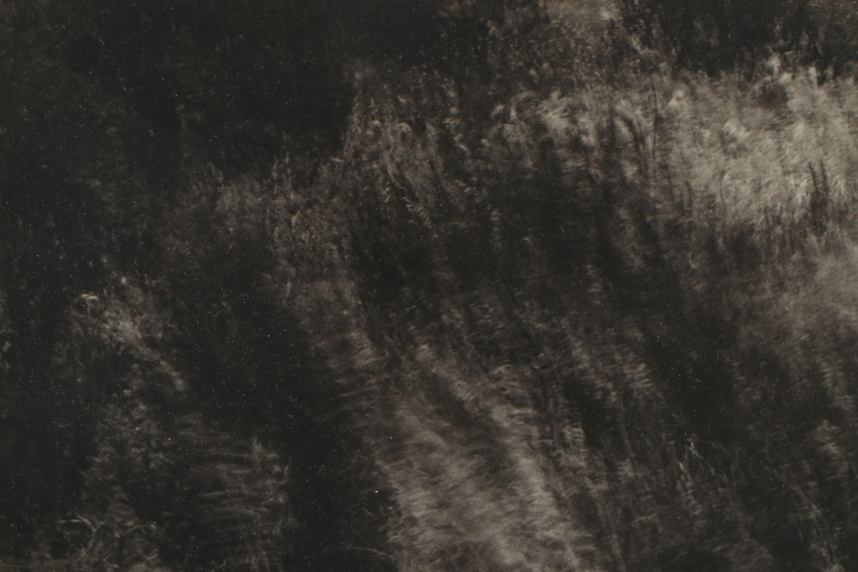 Don Jim Silver Gelatin Photograph of Female Nude in Grassy Landscape, Circa 1970