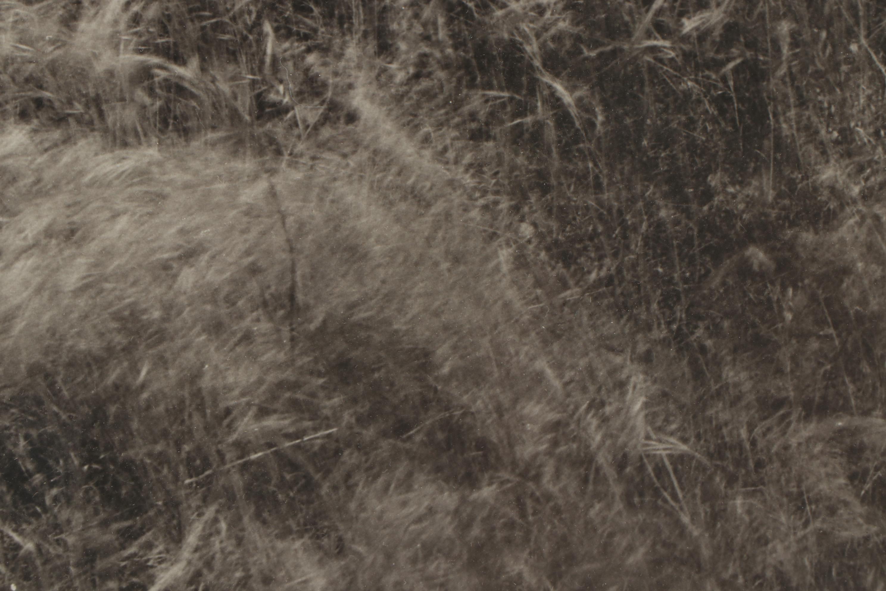 Don Jim Silver Gelatin Photograph of Female Nude in Grassy Landscape, Circa 1970