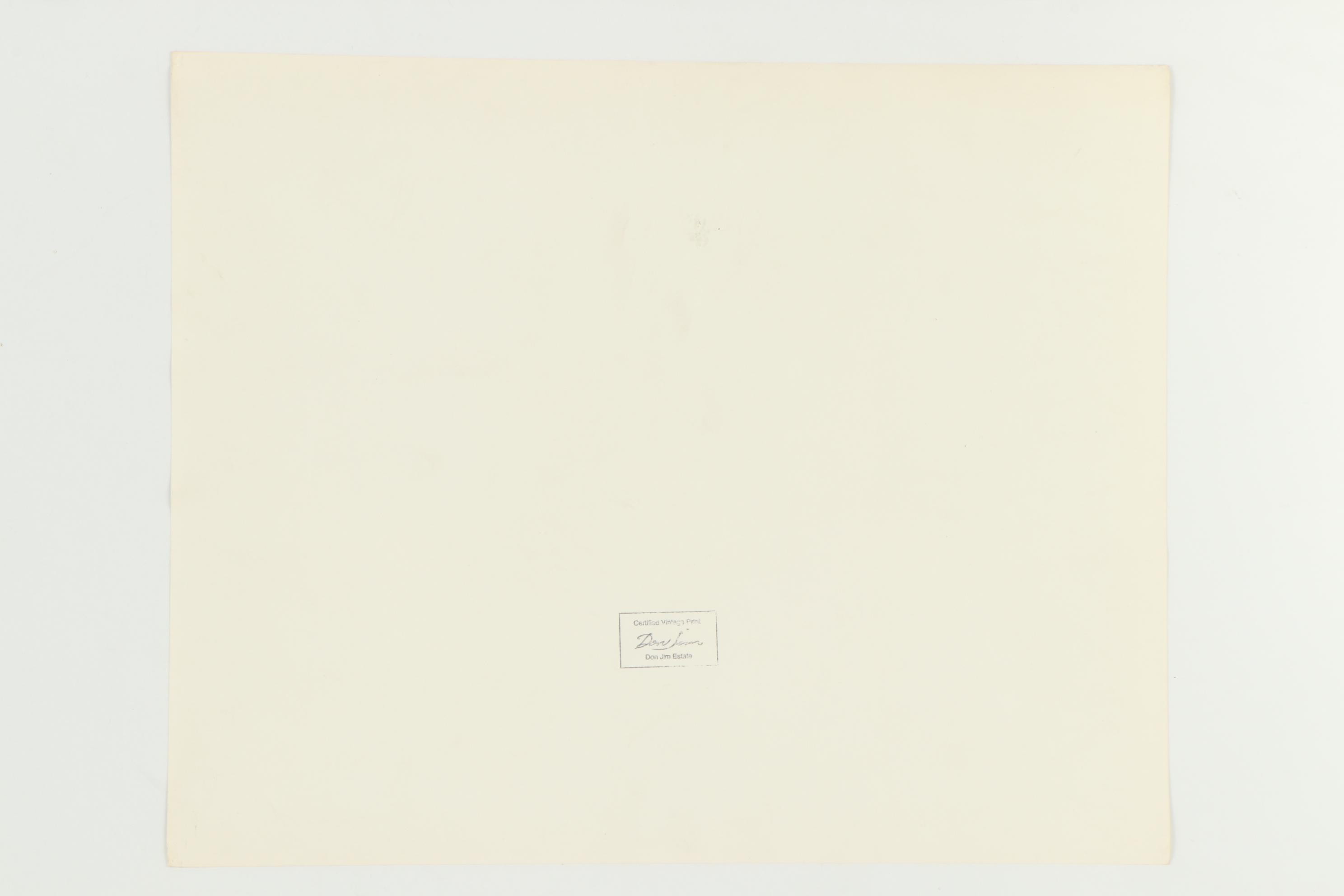 Don Jim Silver Gelatin Photograph of Female Nude in Grassy Landscape, Circa 1970